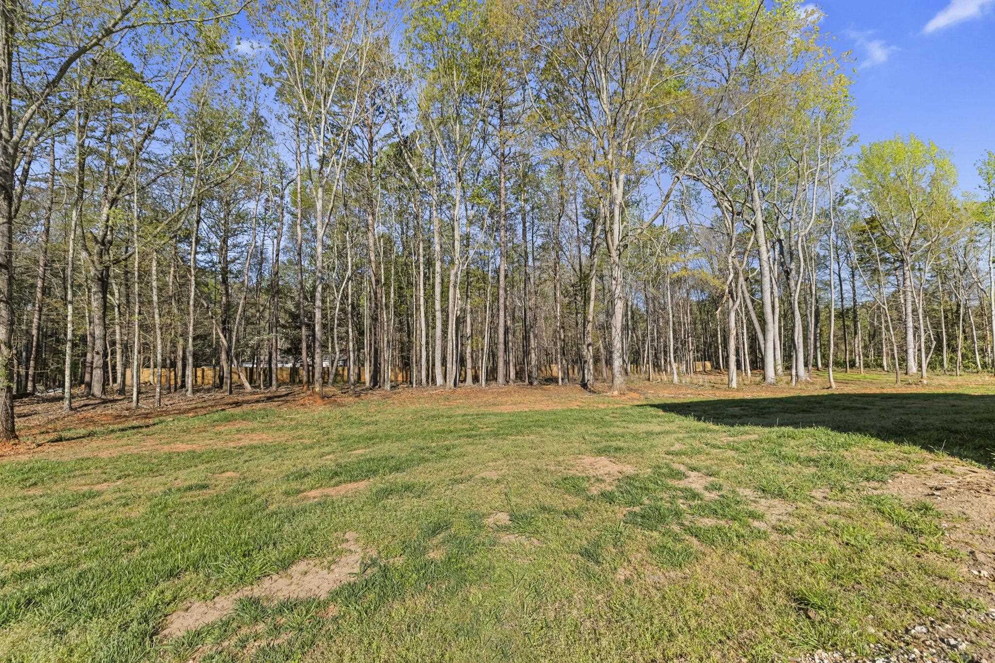 Image 33