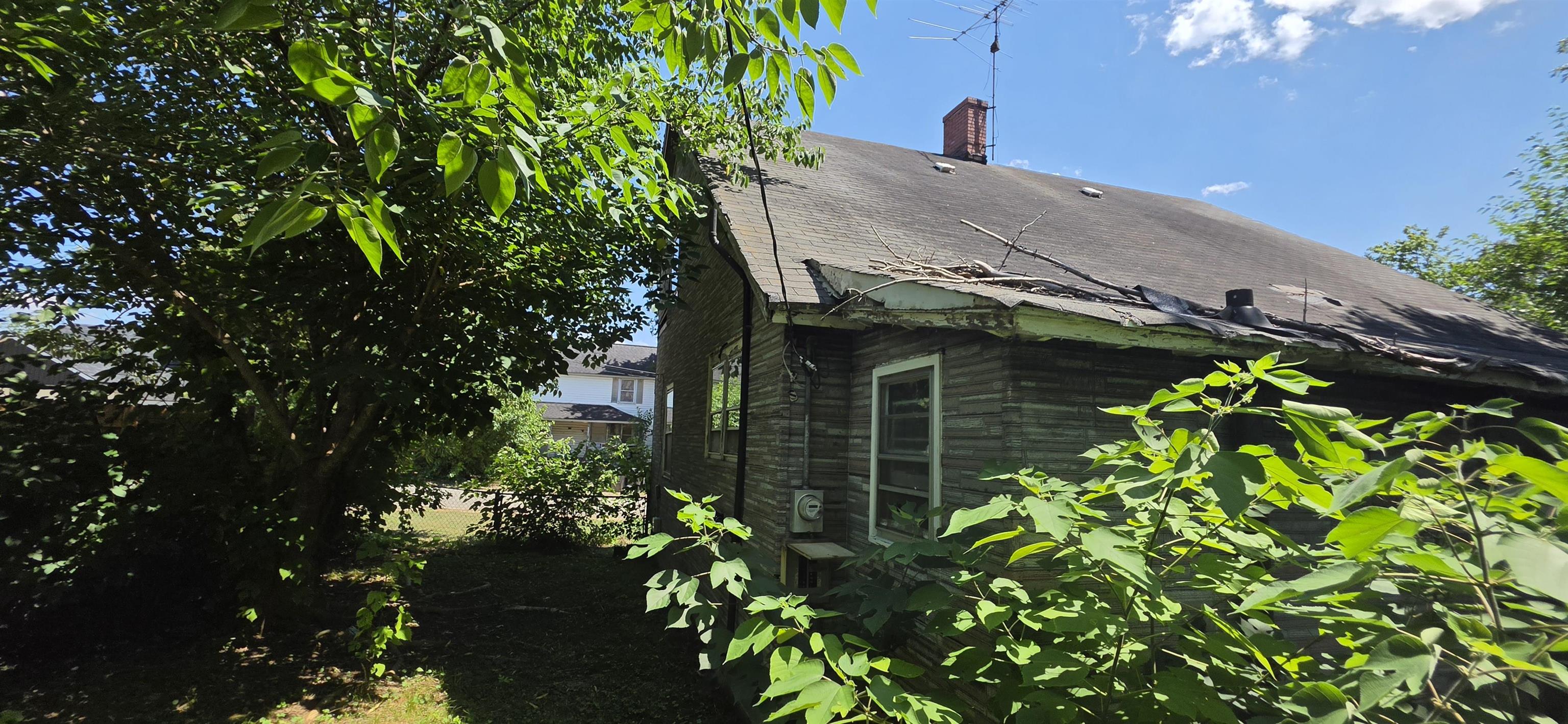 Image 11