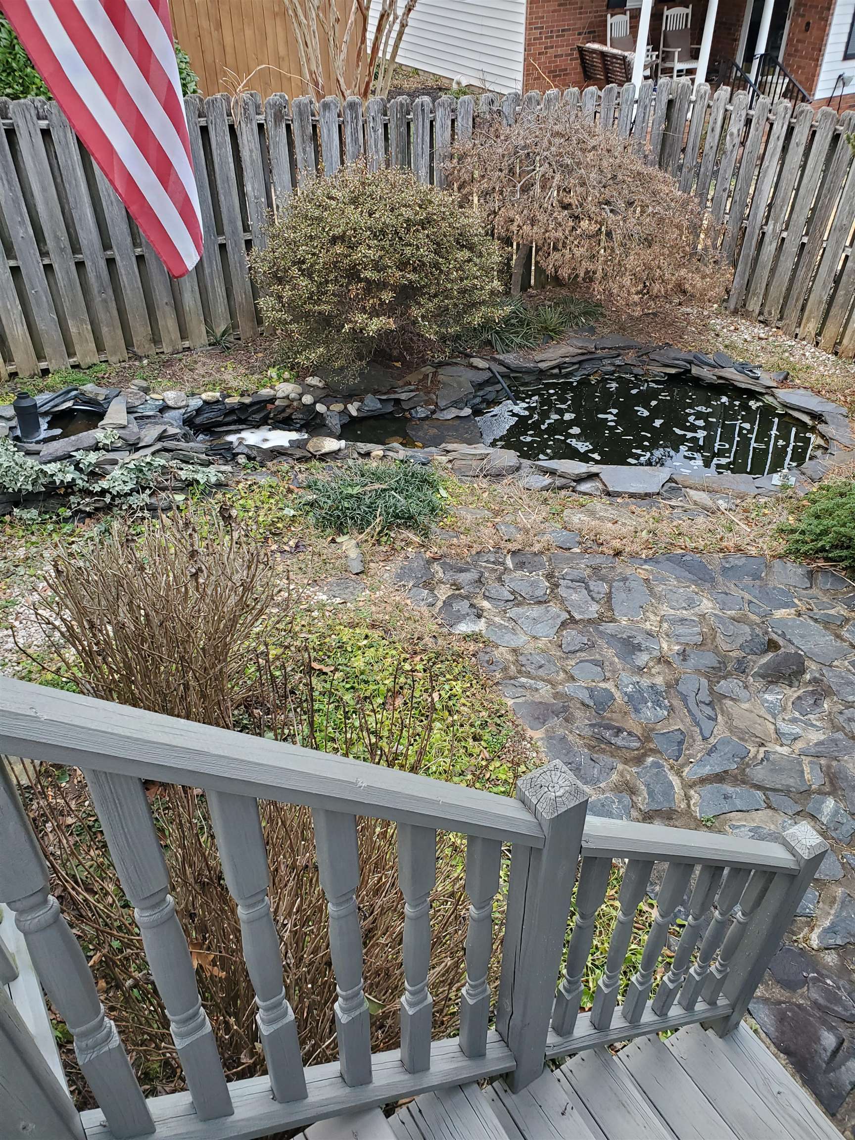Image 19