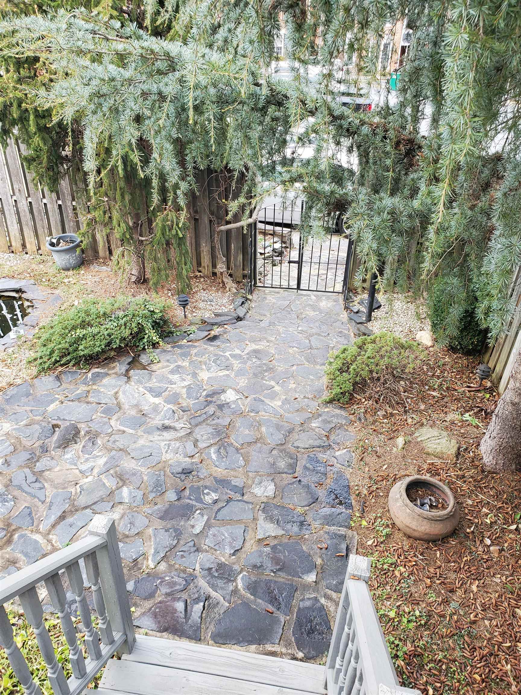 Image 20