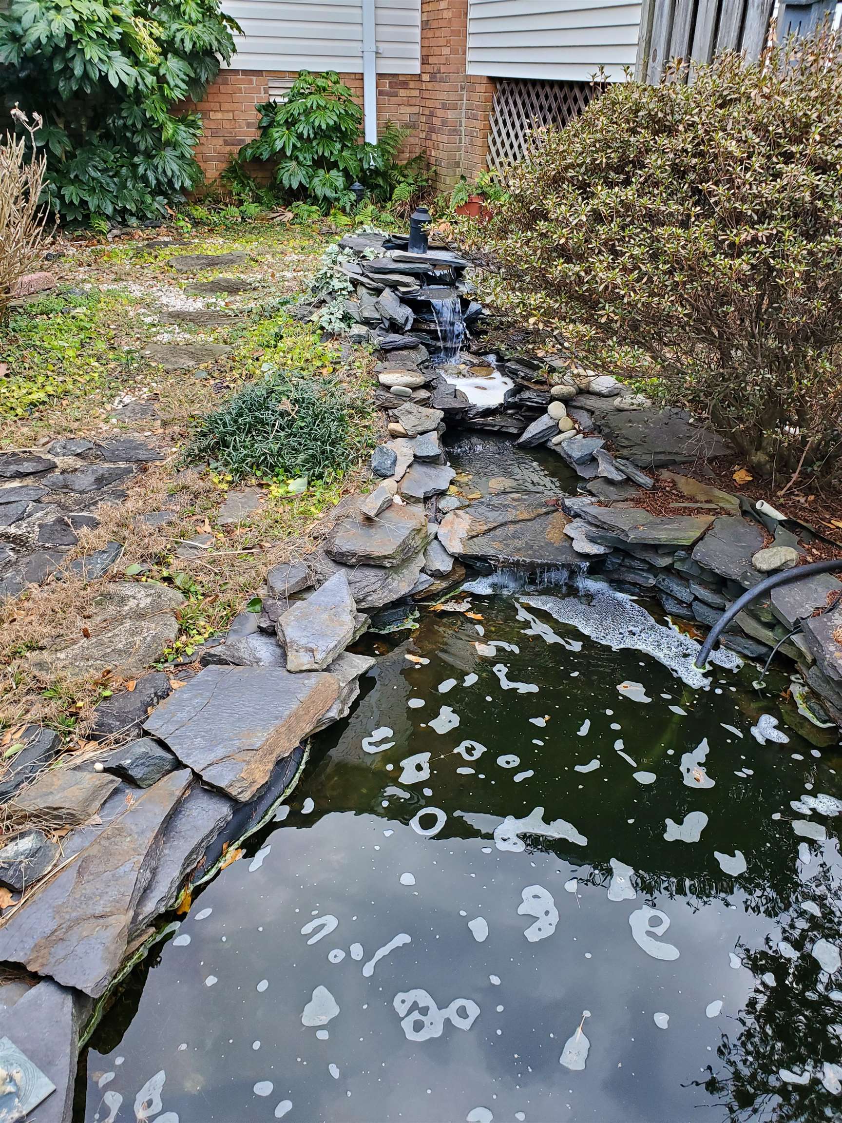 Image 23