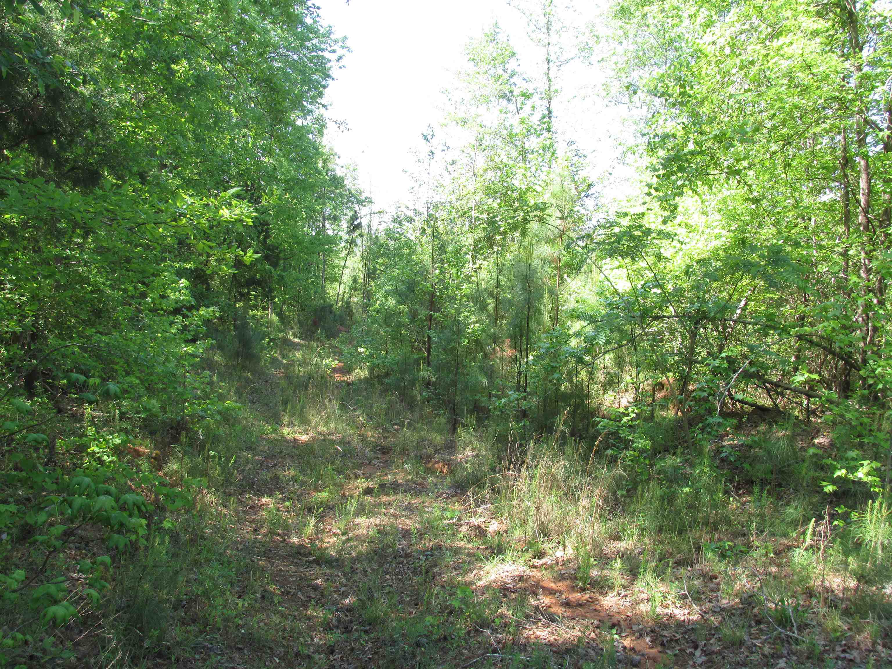 0 Kincaid Bridge Road Road