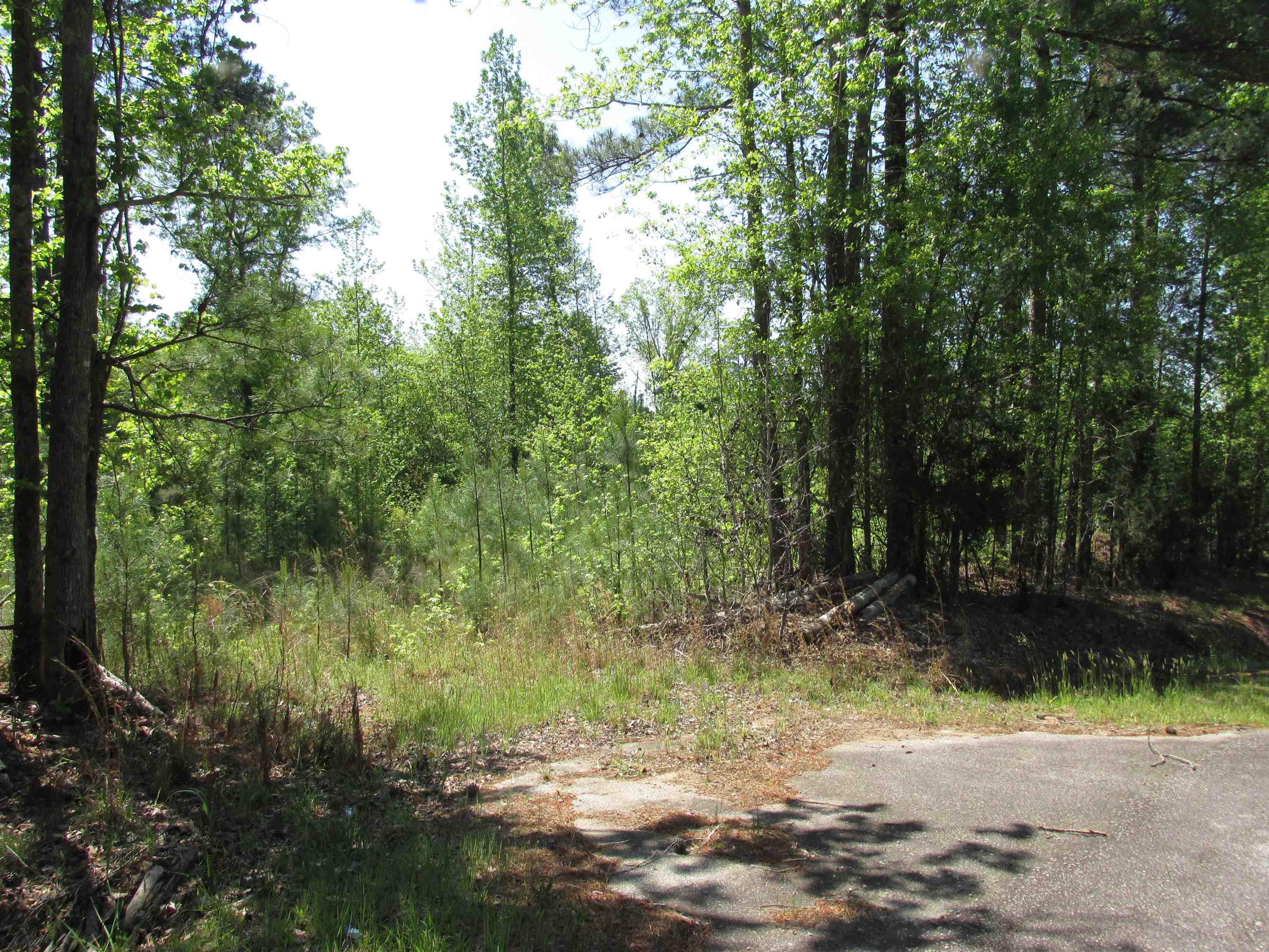 Image 8