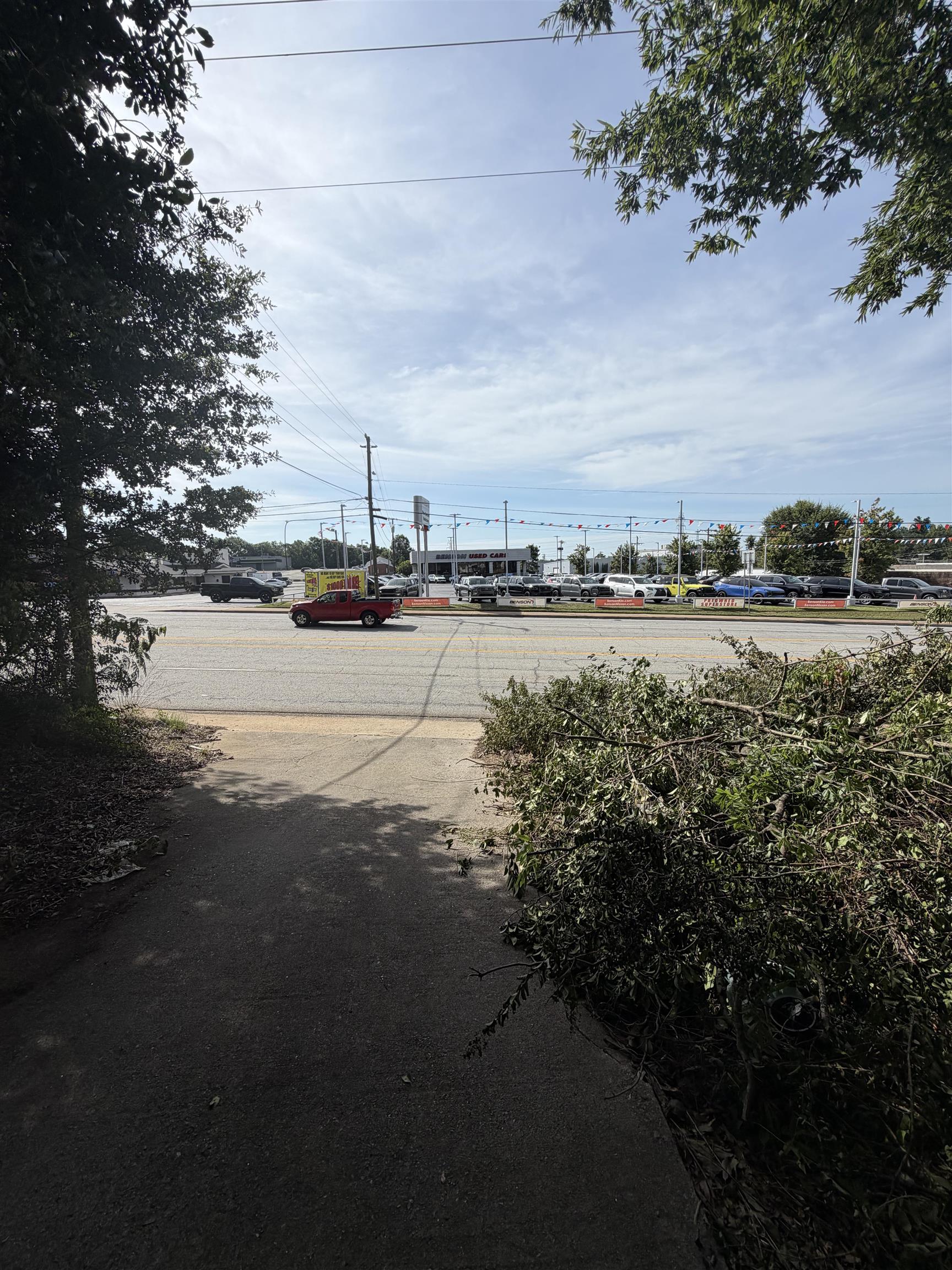 Image 19