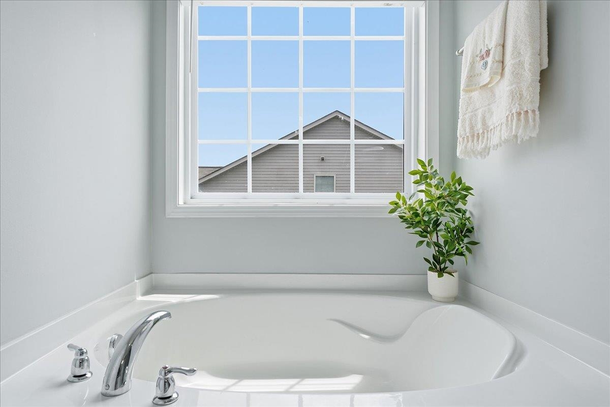 Image 25