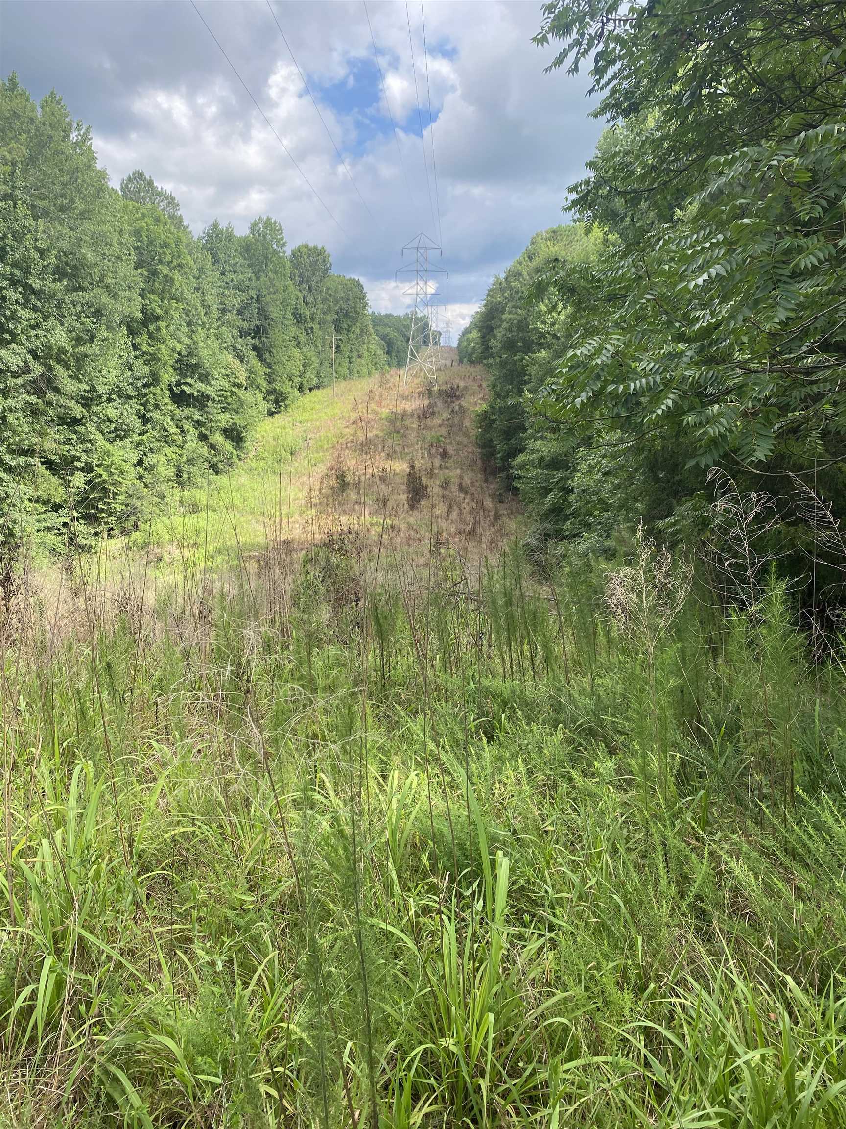 520 Groce Road
