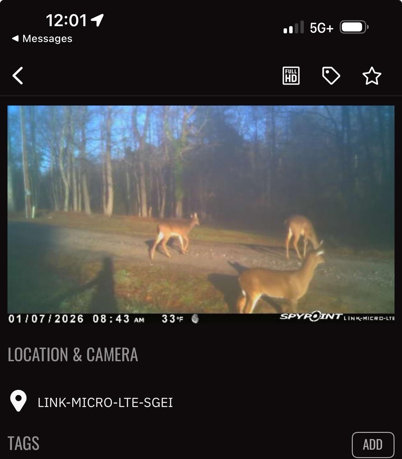 Image 39