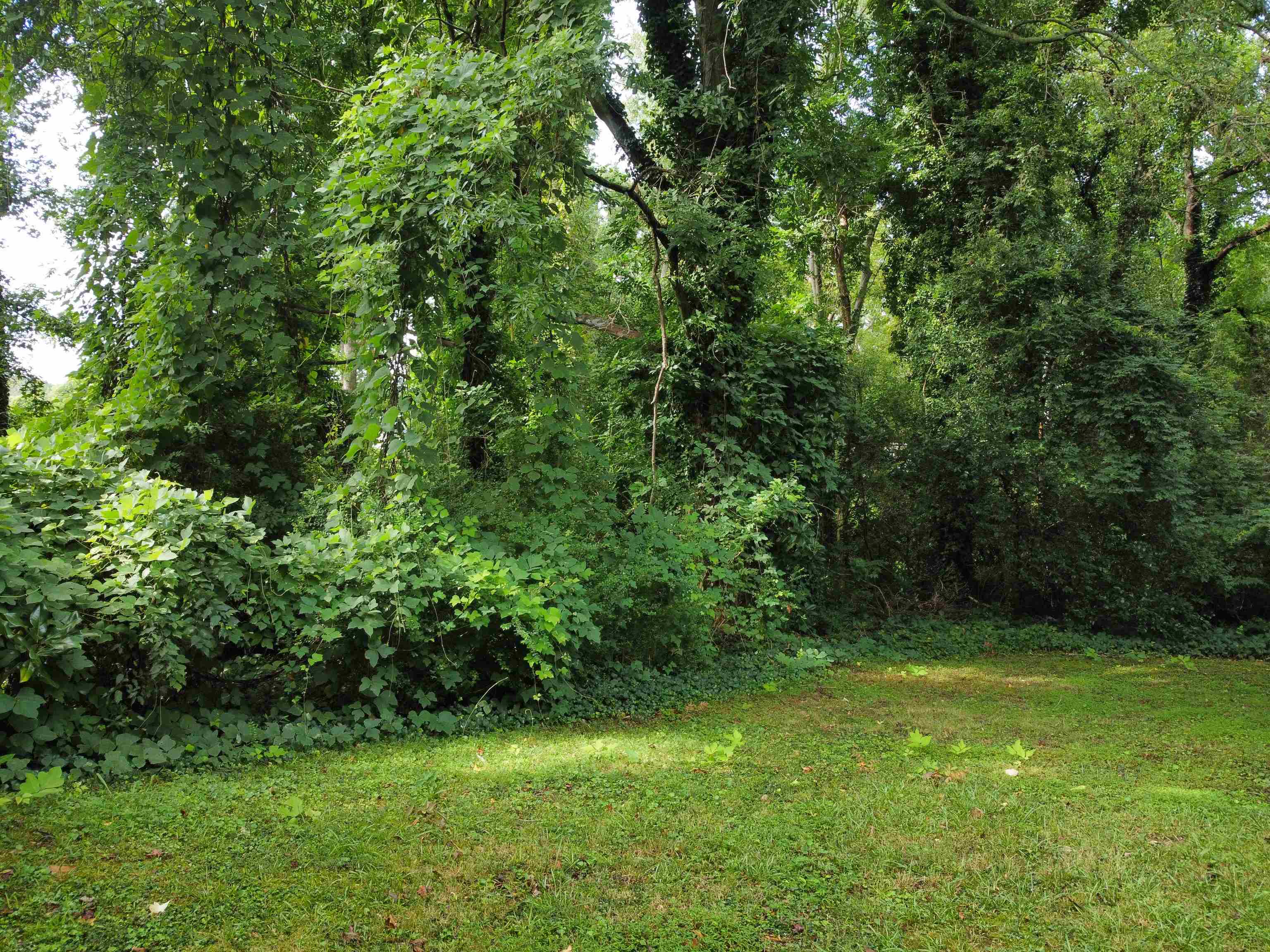 Image 14