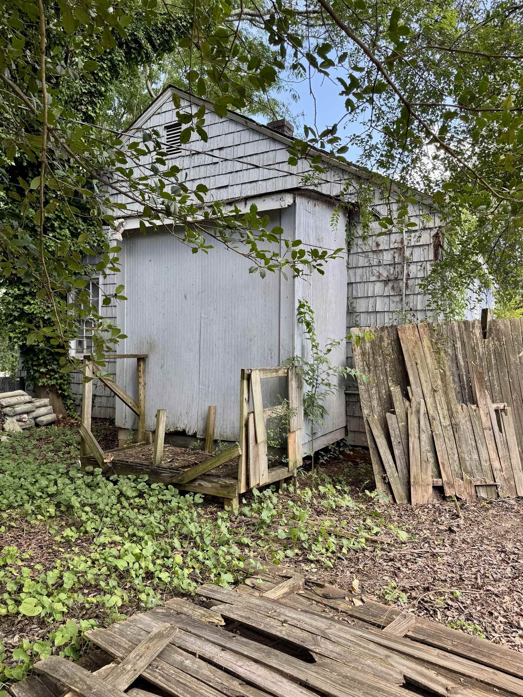 Image 19