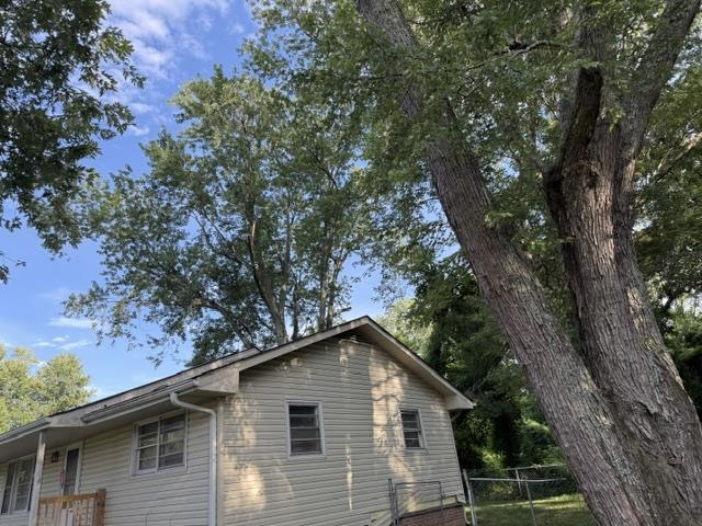 Image 15