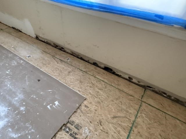 Image 31