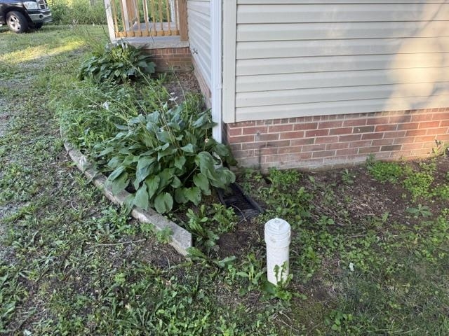 Image 46