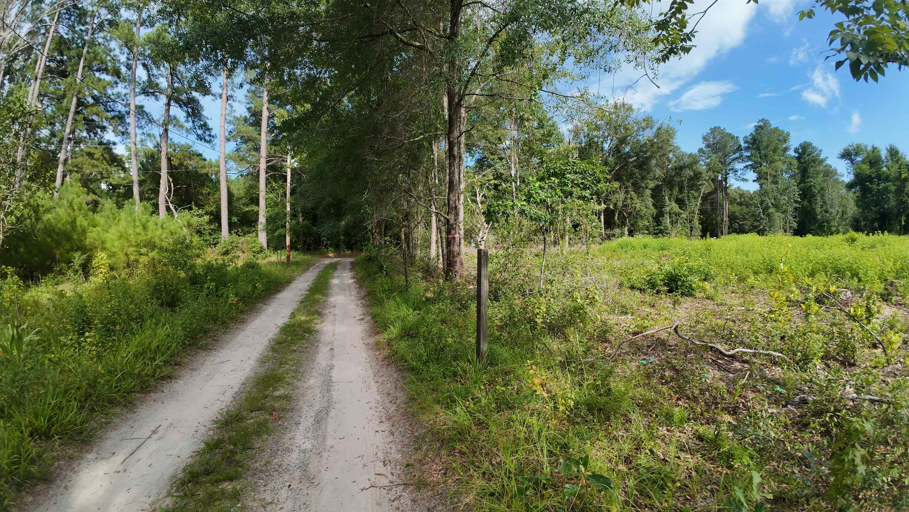 Image 14