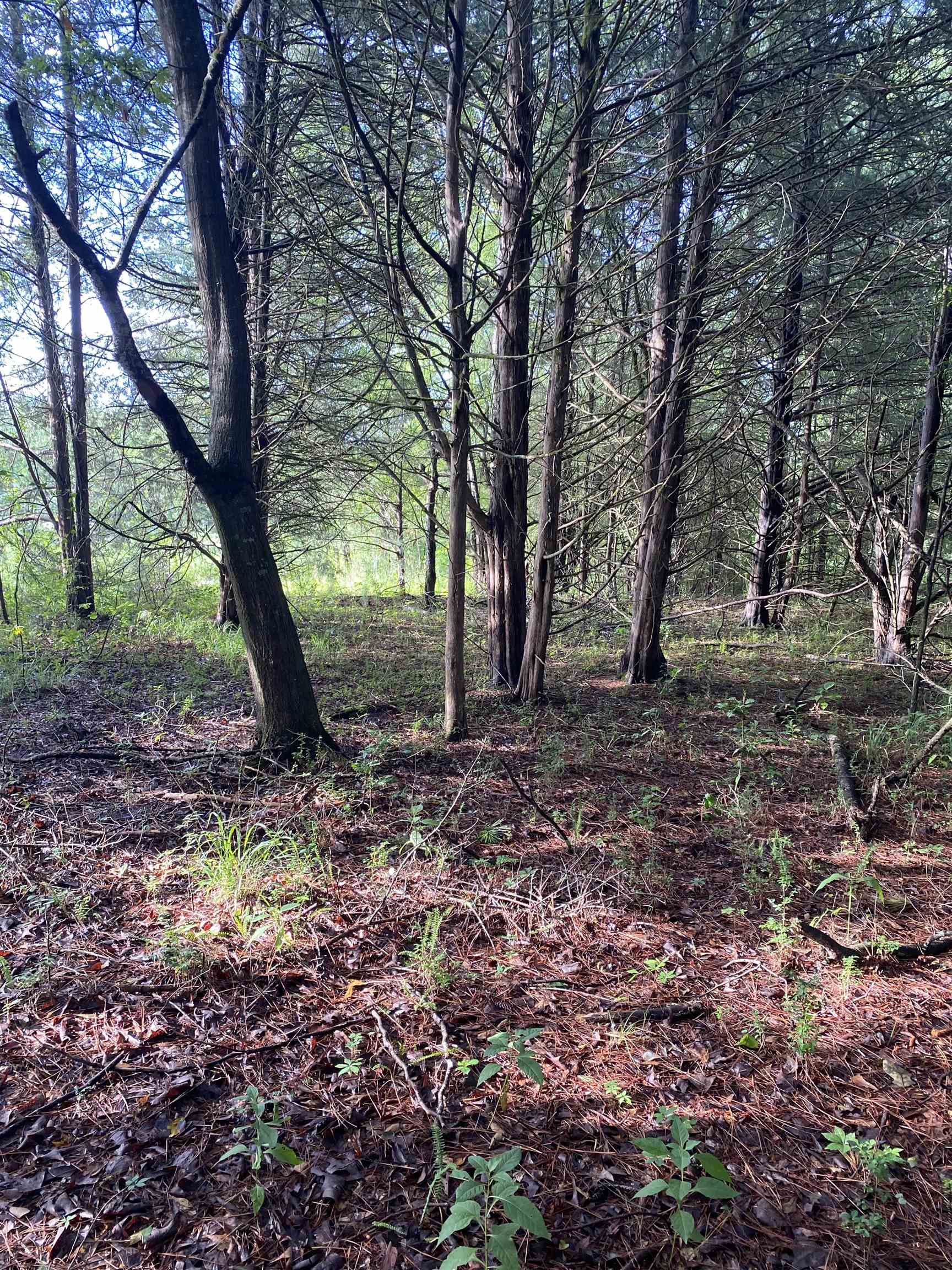 0 Mount Shoals Road