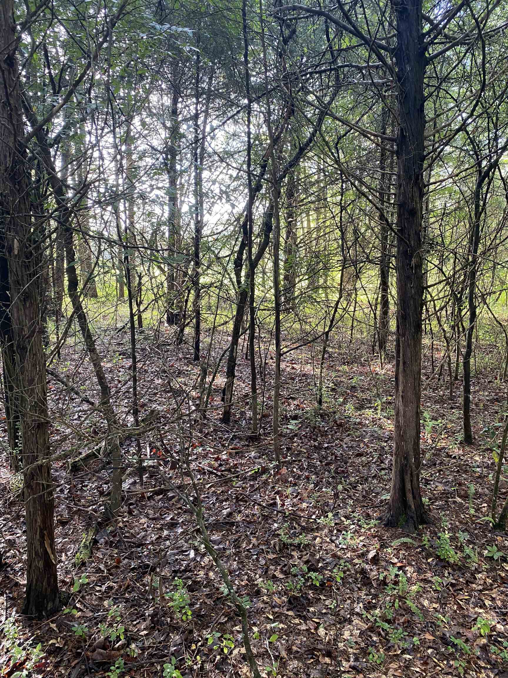 Image 6