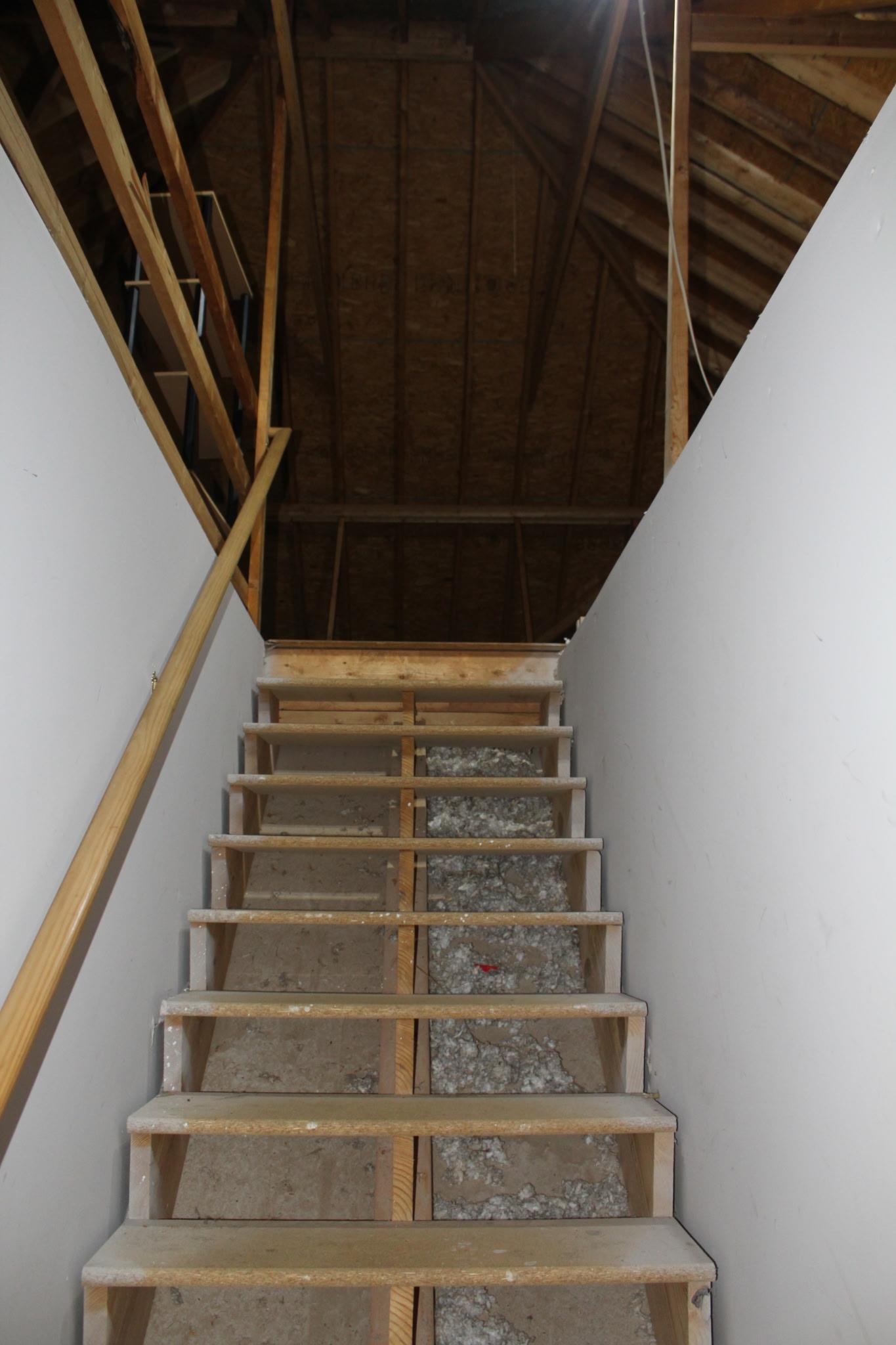 Image 36