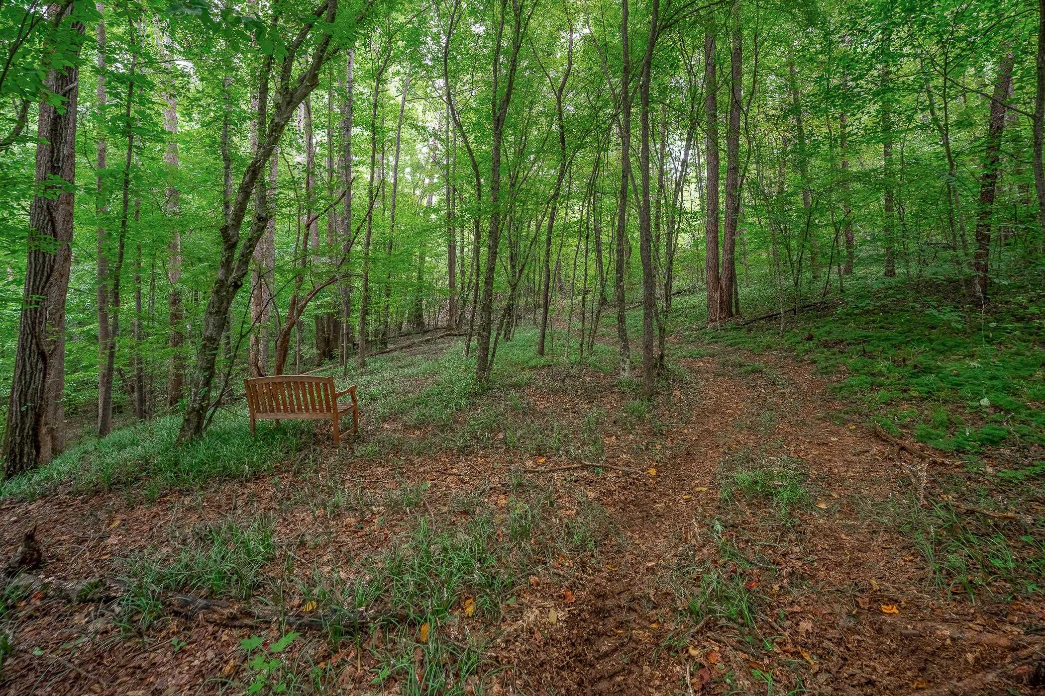Image 46