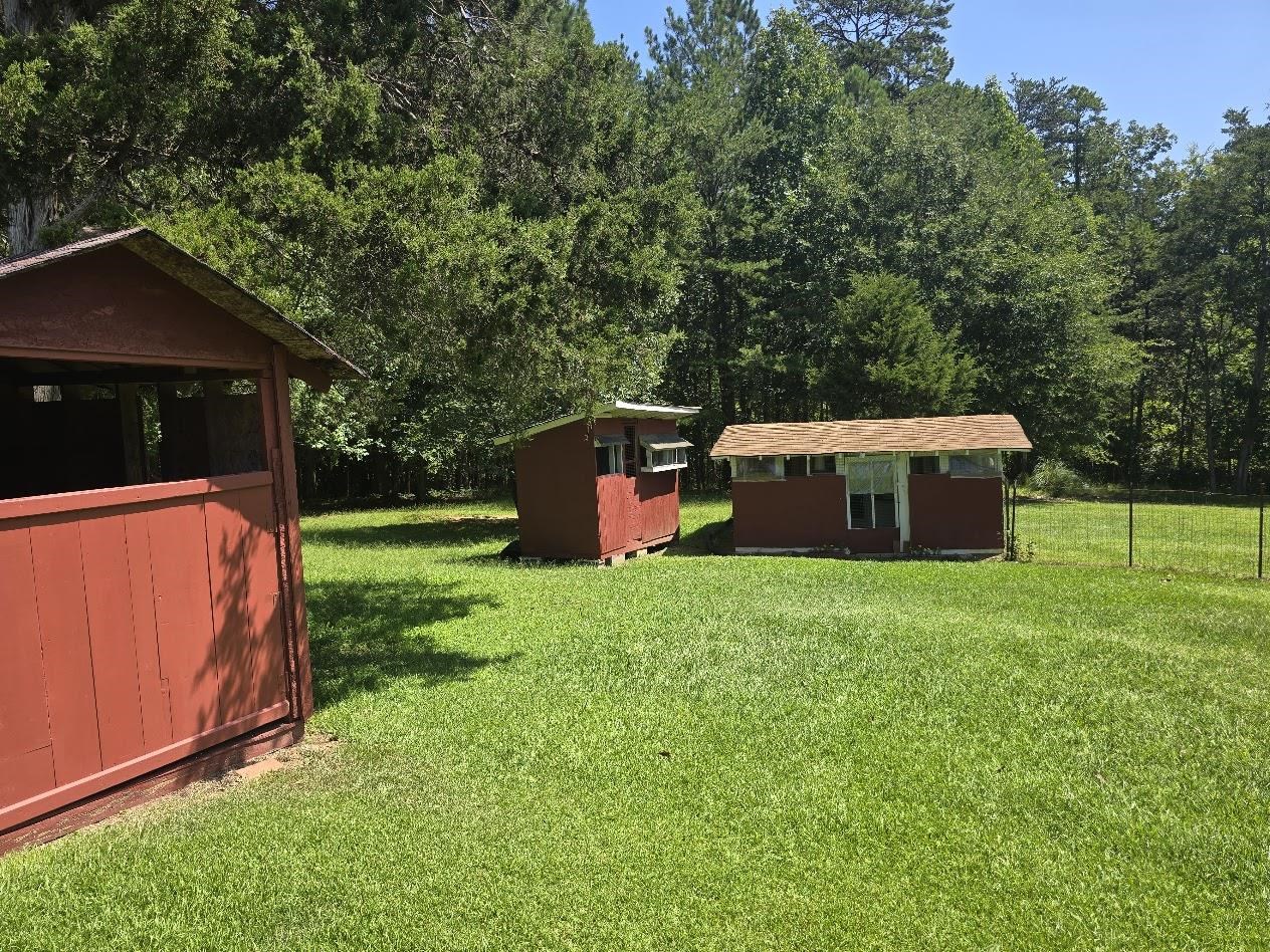 Image 32