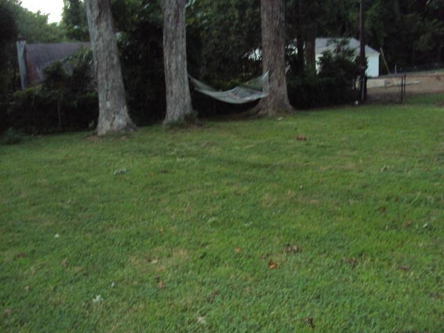 Image 19