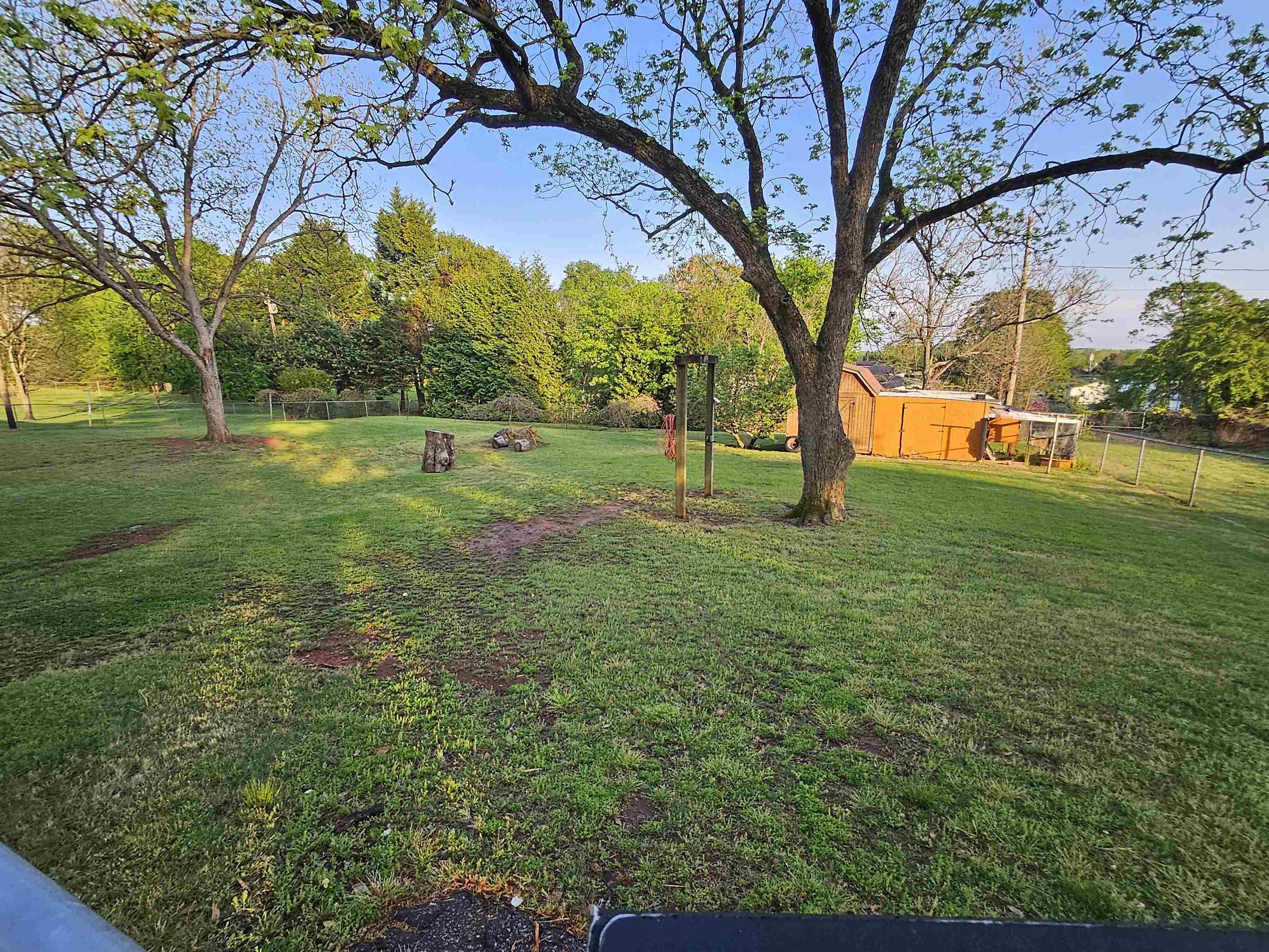 Image 7