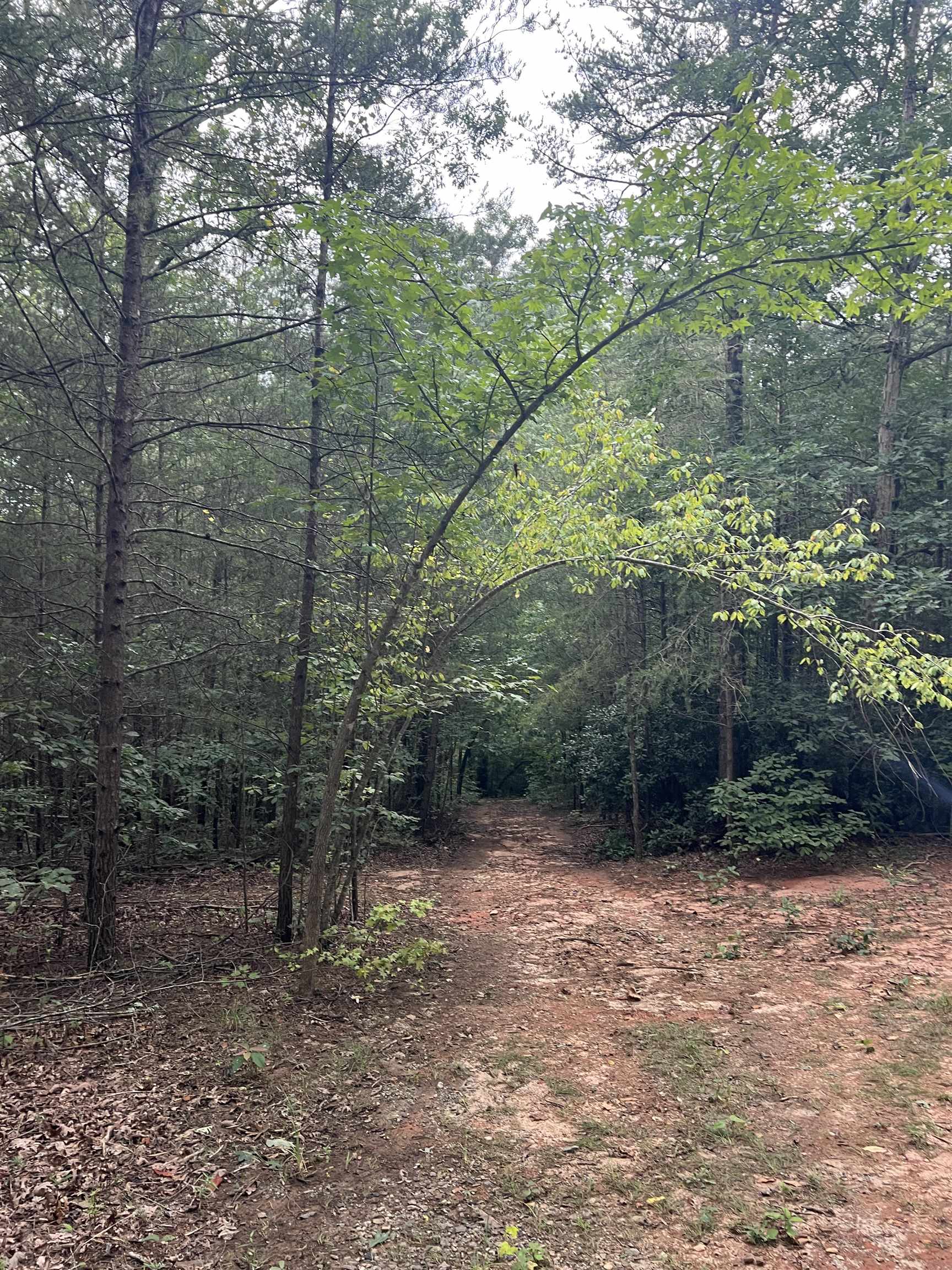 300 Goforth Road
