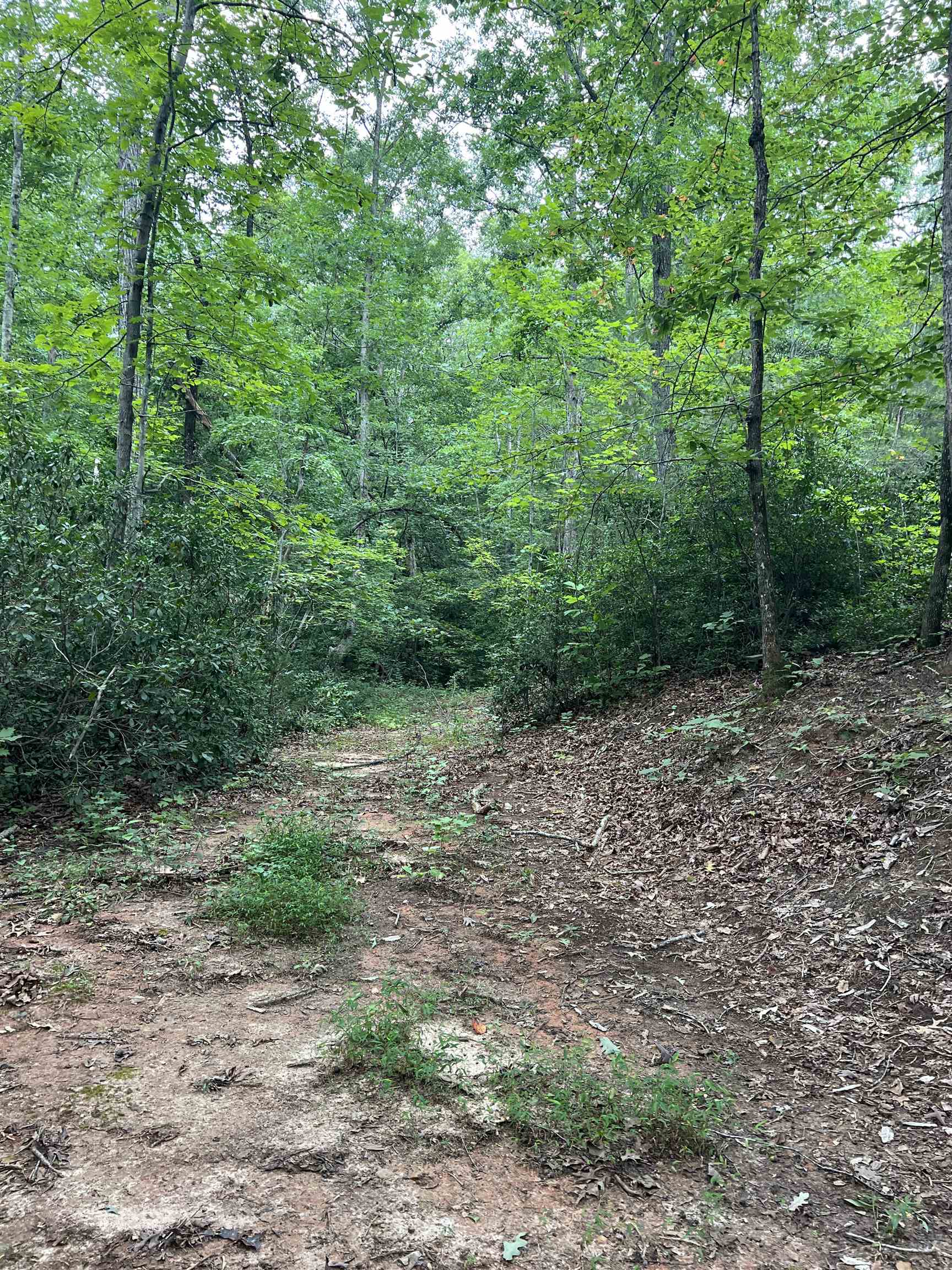 Image 15