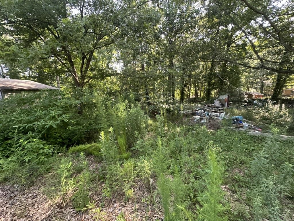 Image 6