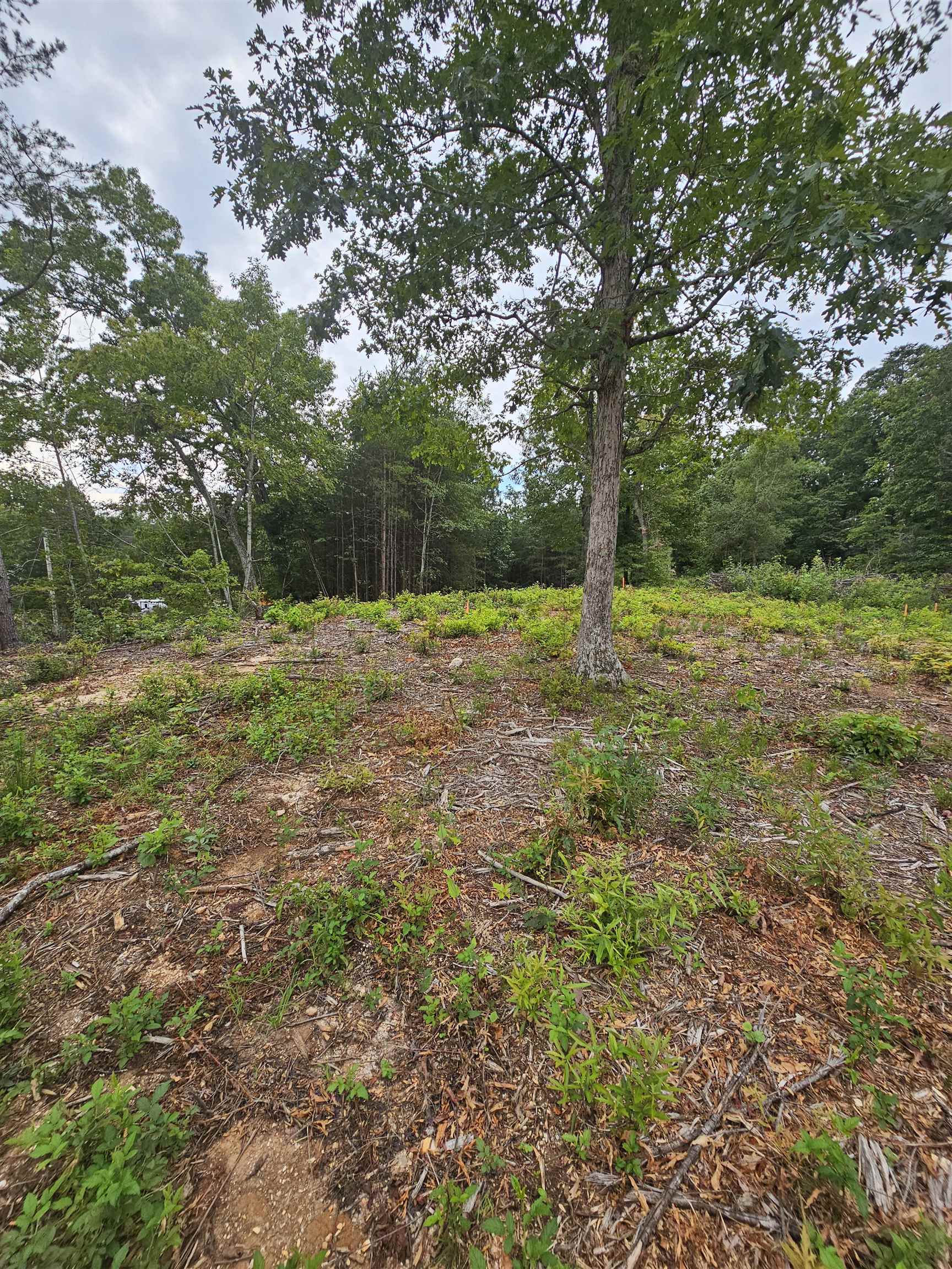 1142 Belue Mill Road