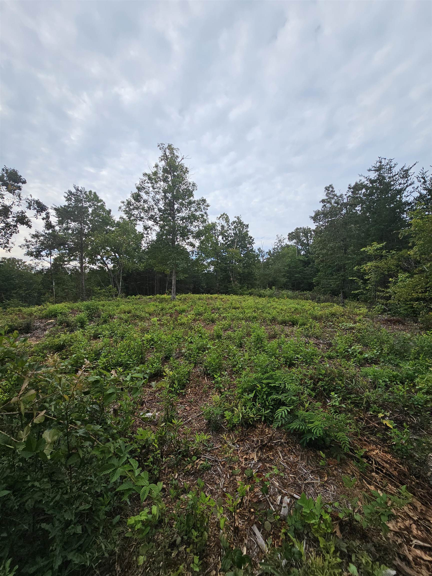 1146 Belue Mill Road