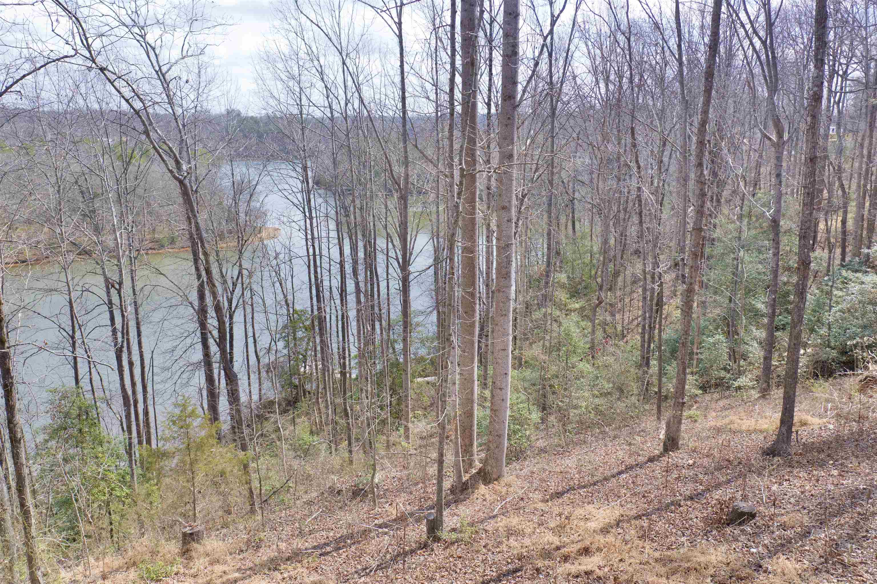 Image 13