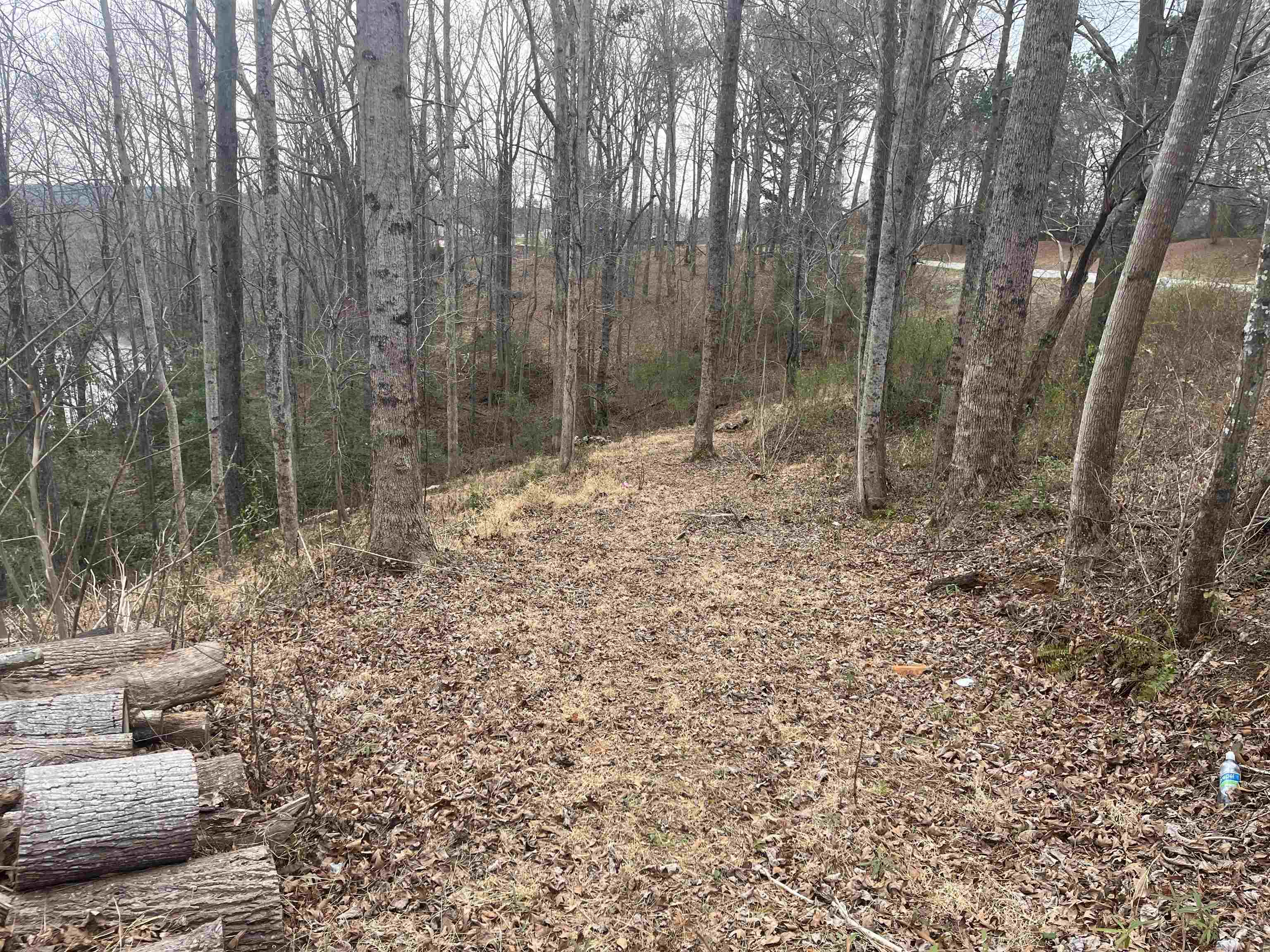 Image 14