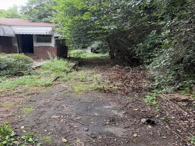 Image 15