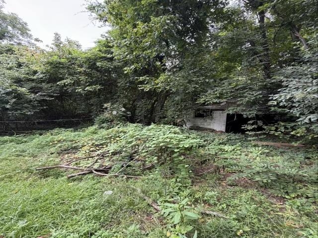 Image 17