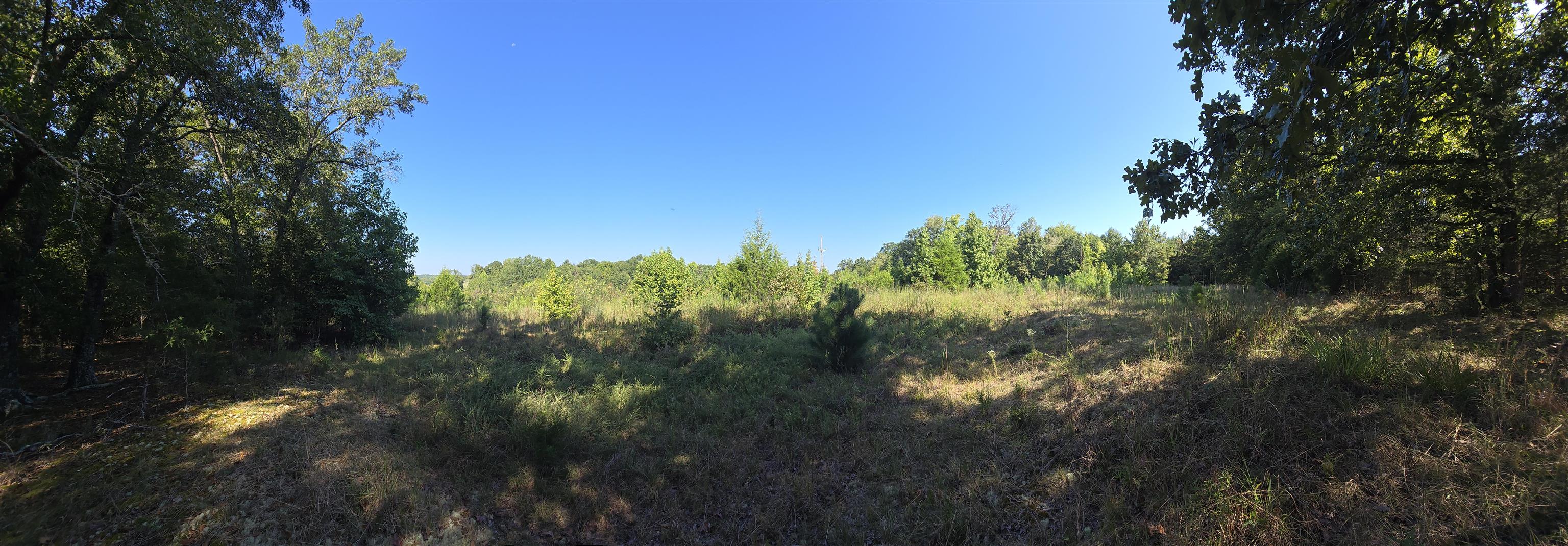 Image 19