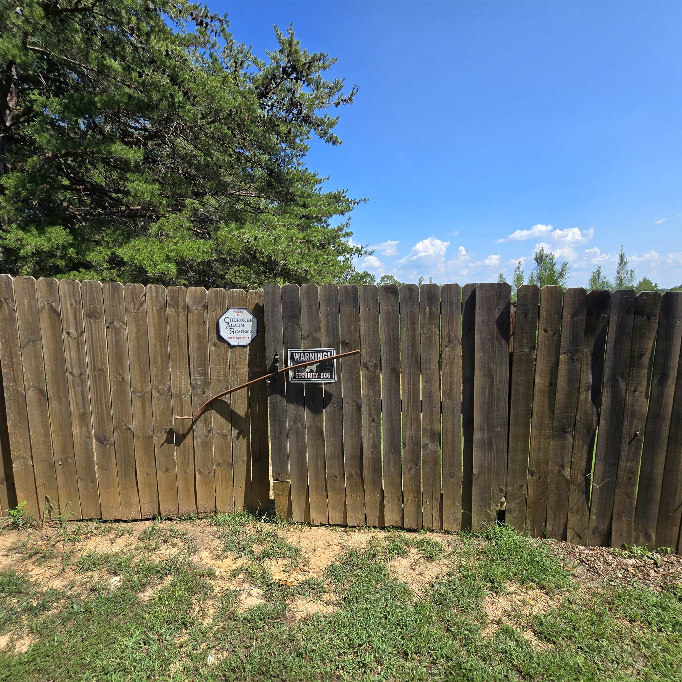 Image 11