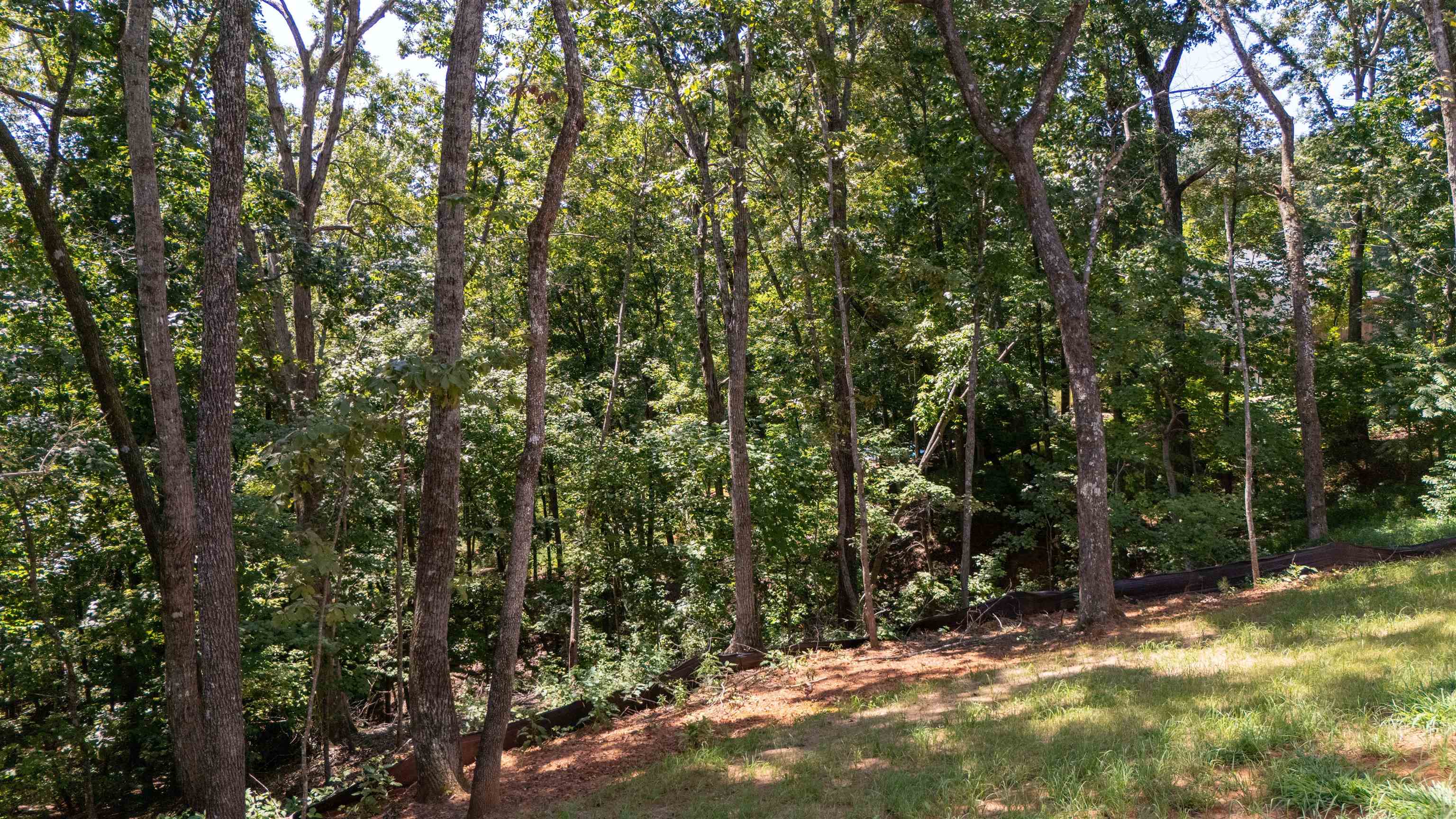 Image 15