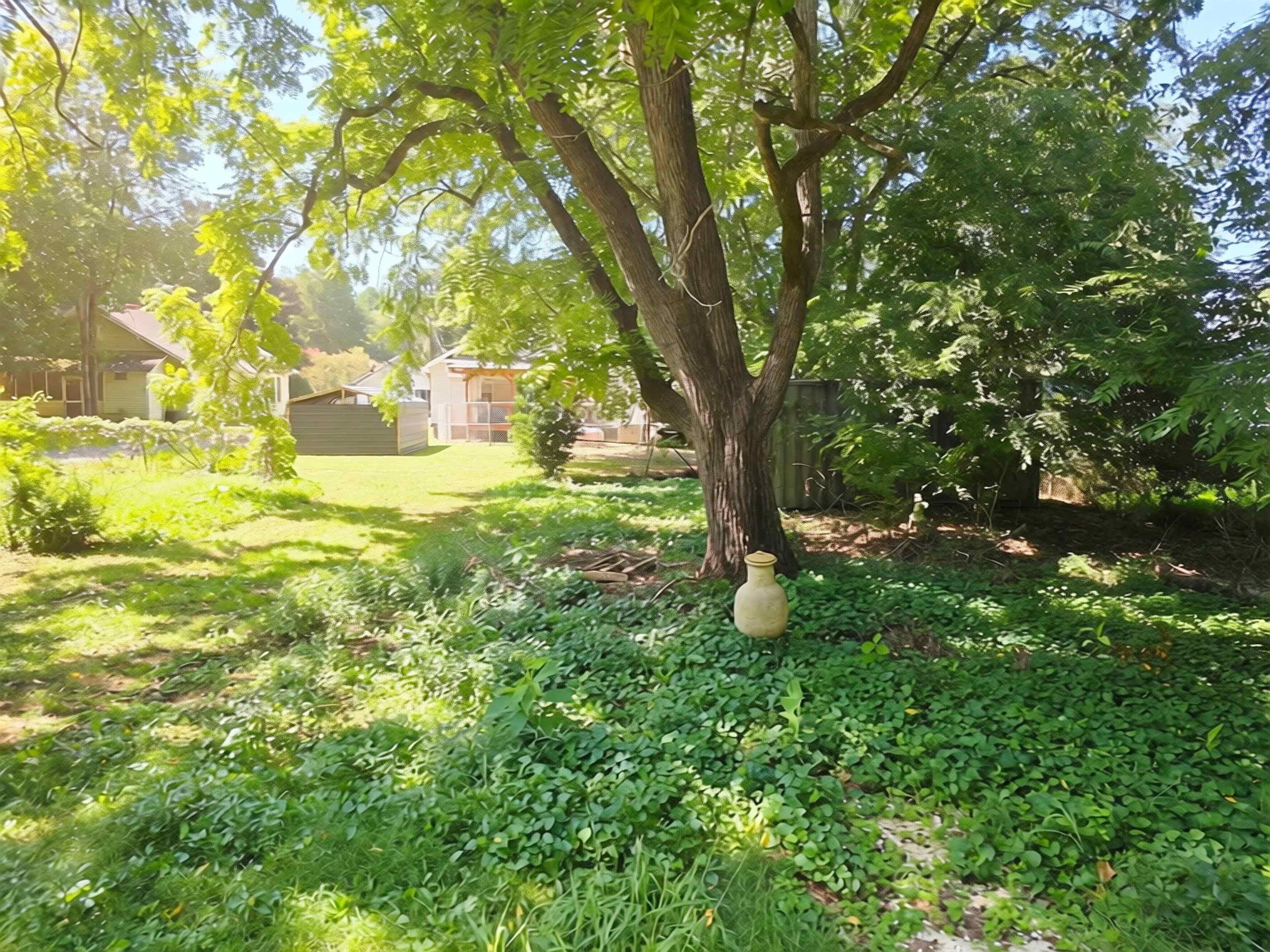 Image 9