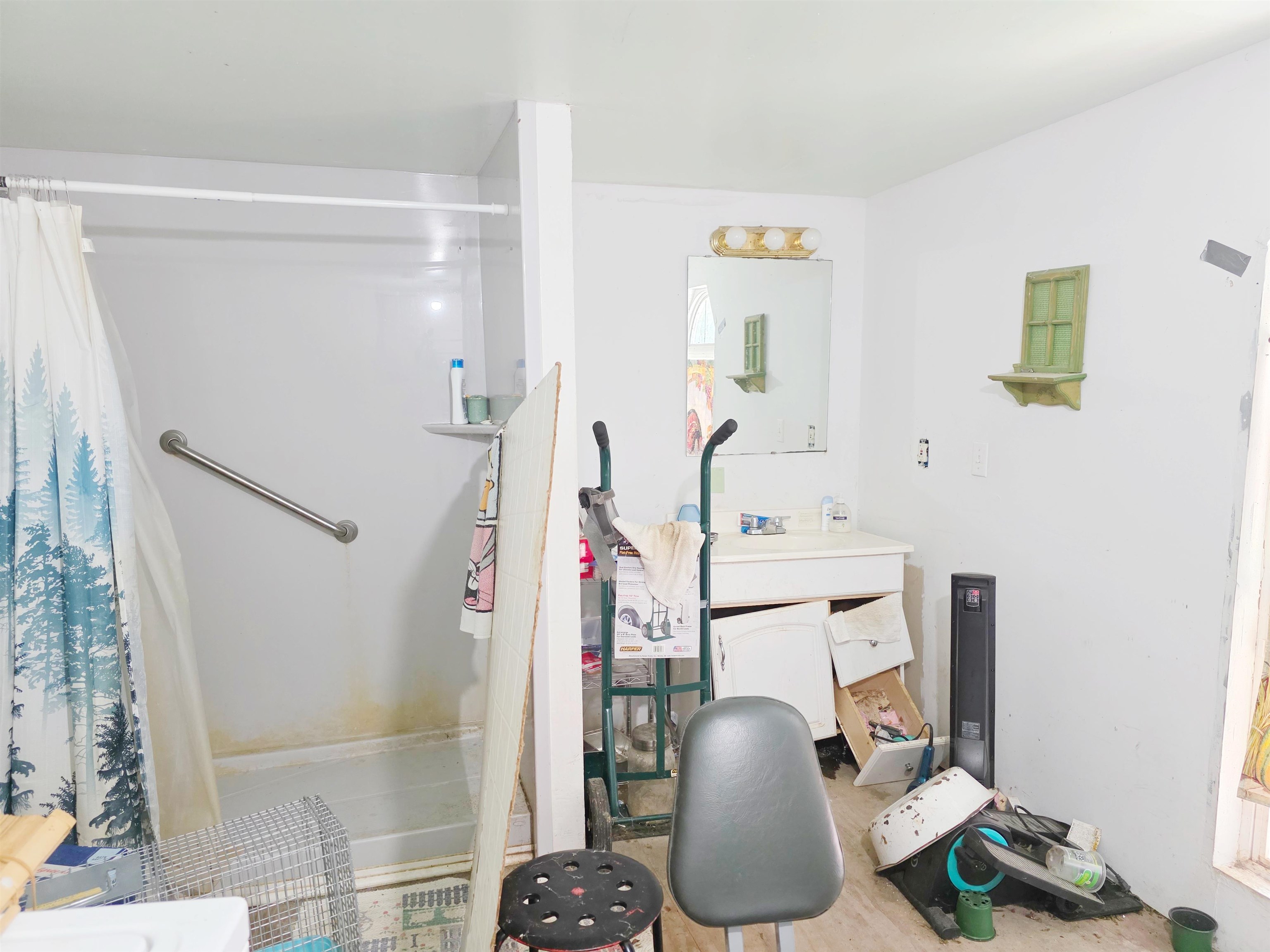 Image 19