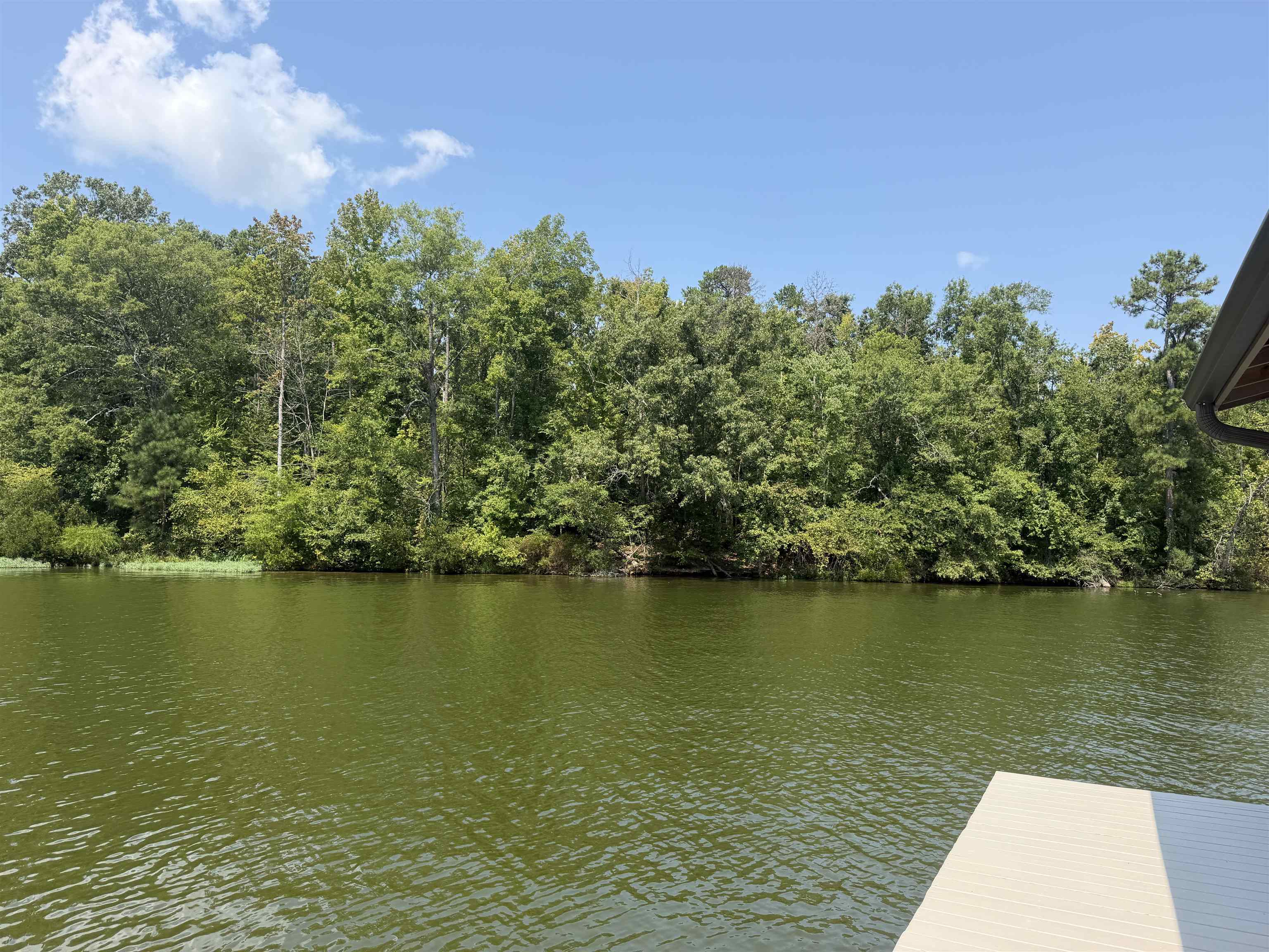 798 Isle of Pine Circle