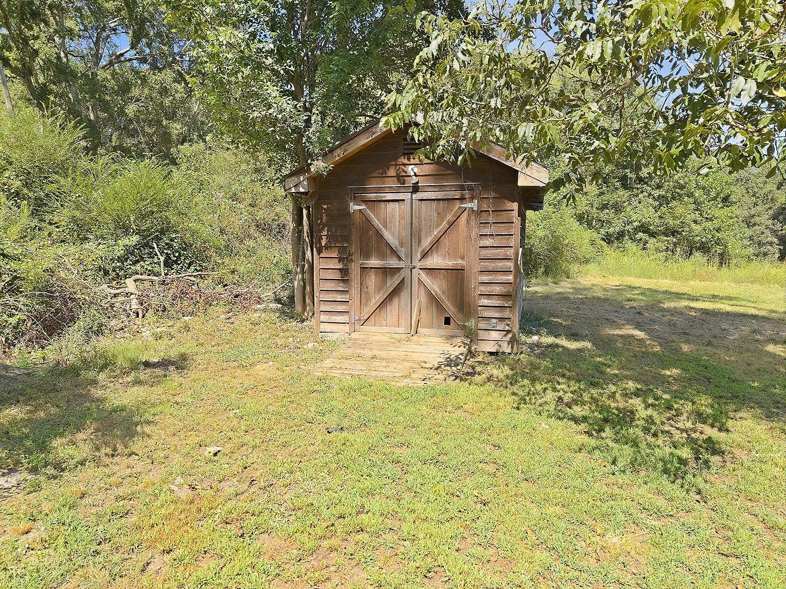 Image 7