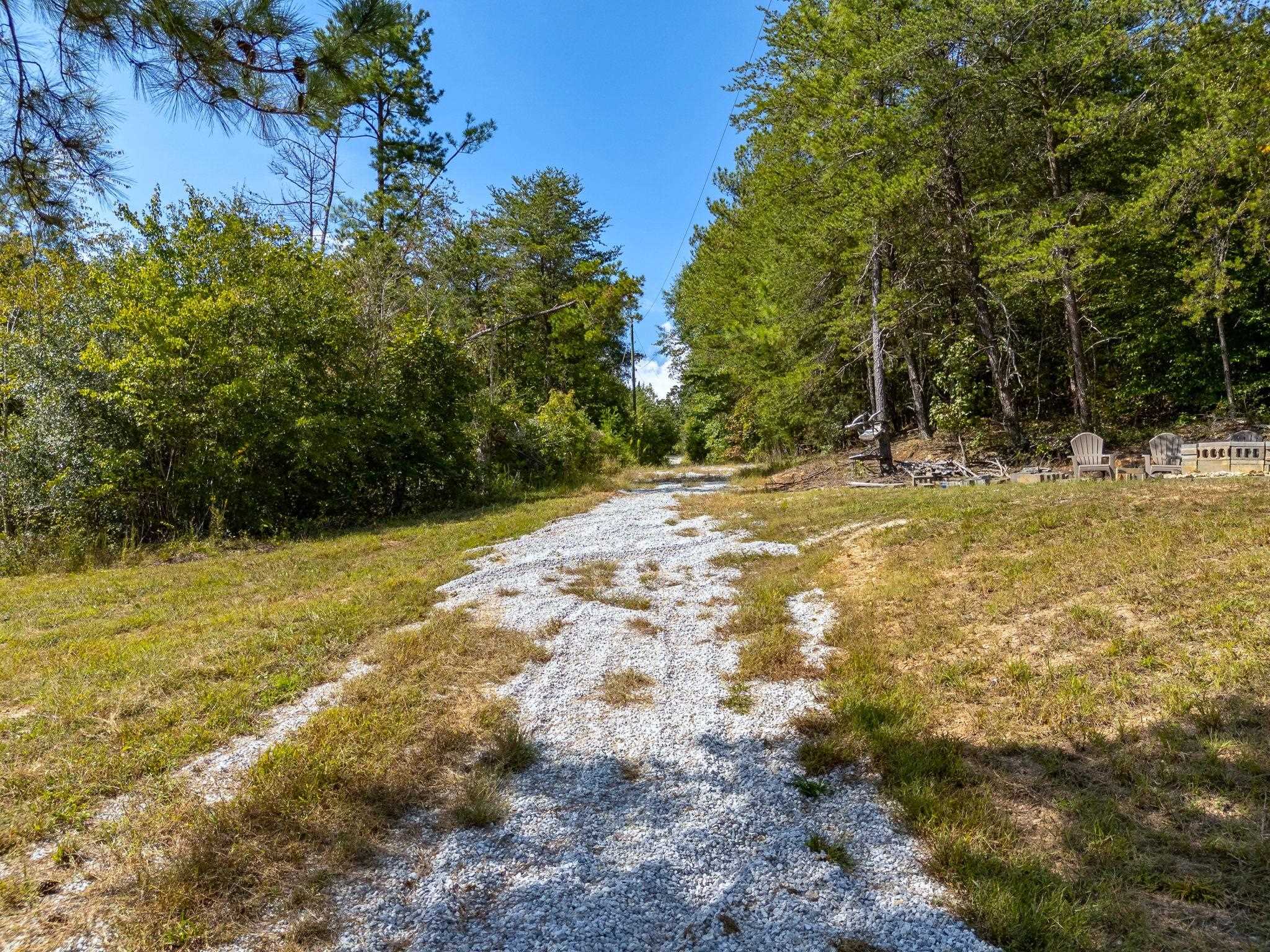 Image 14