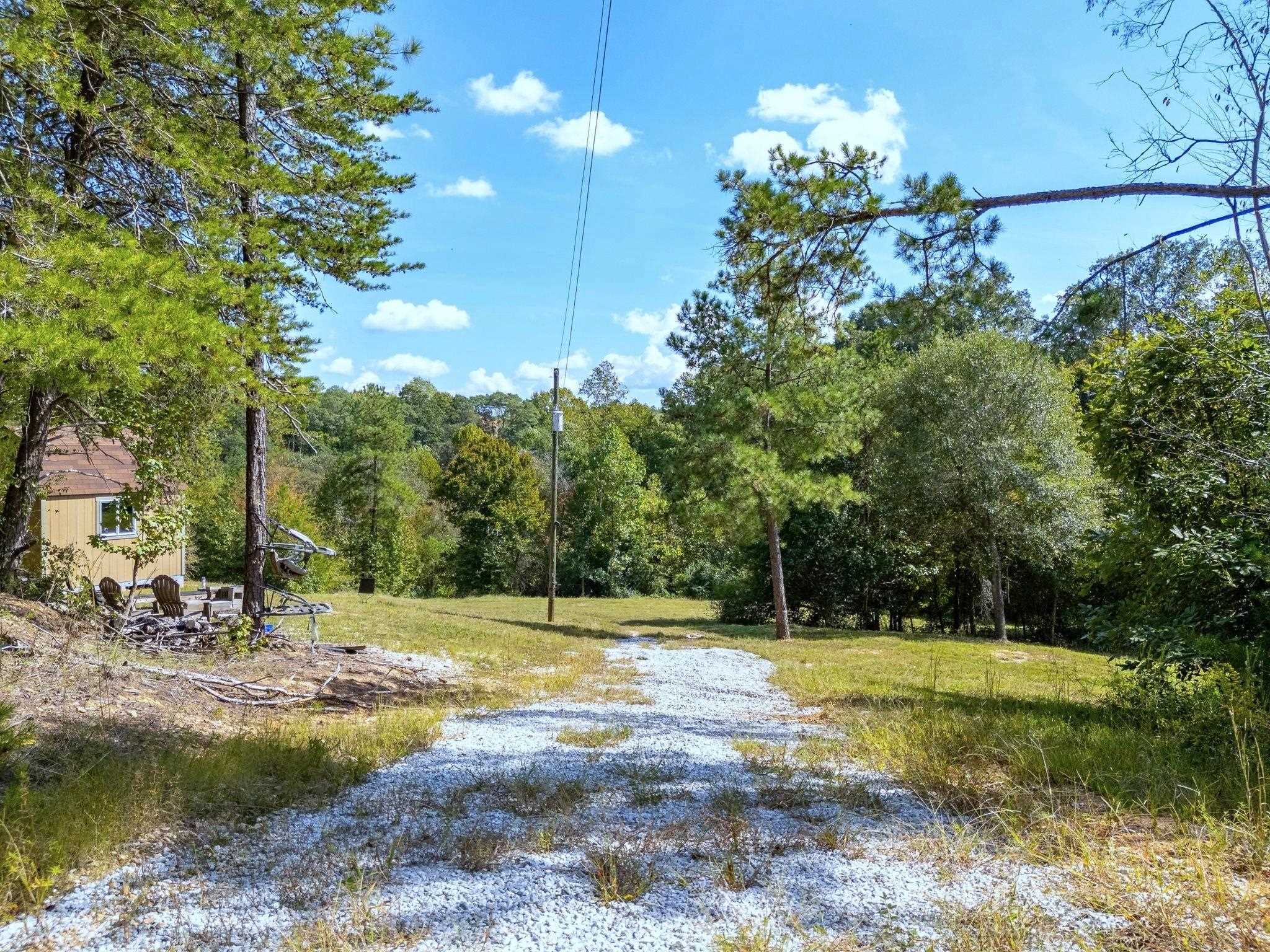 Image 15