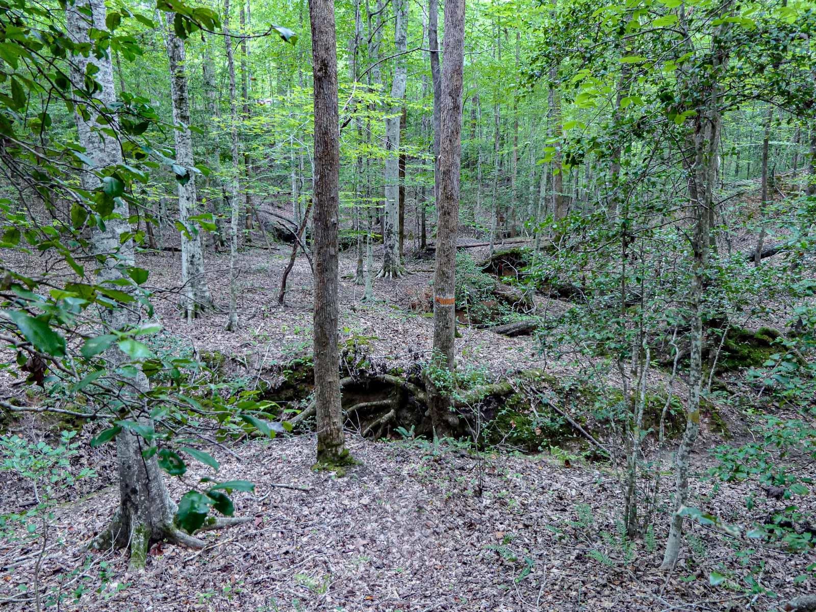 Image 12
