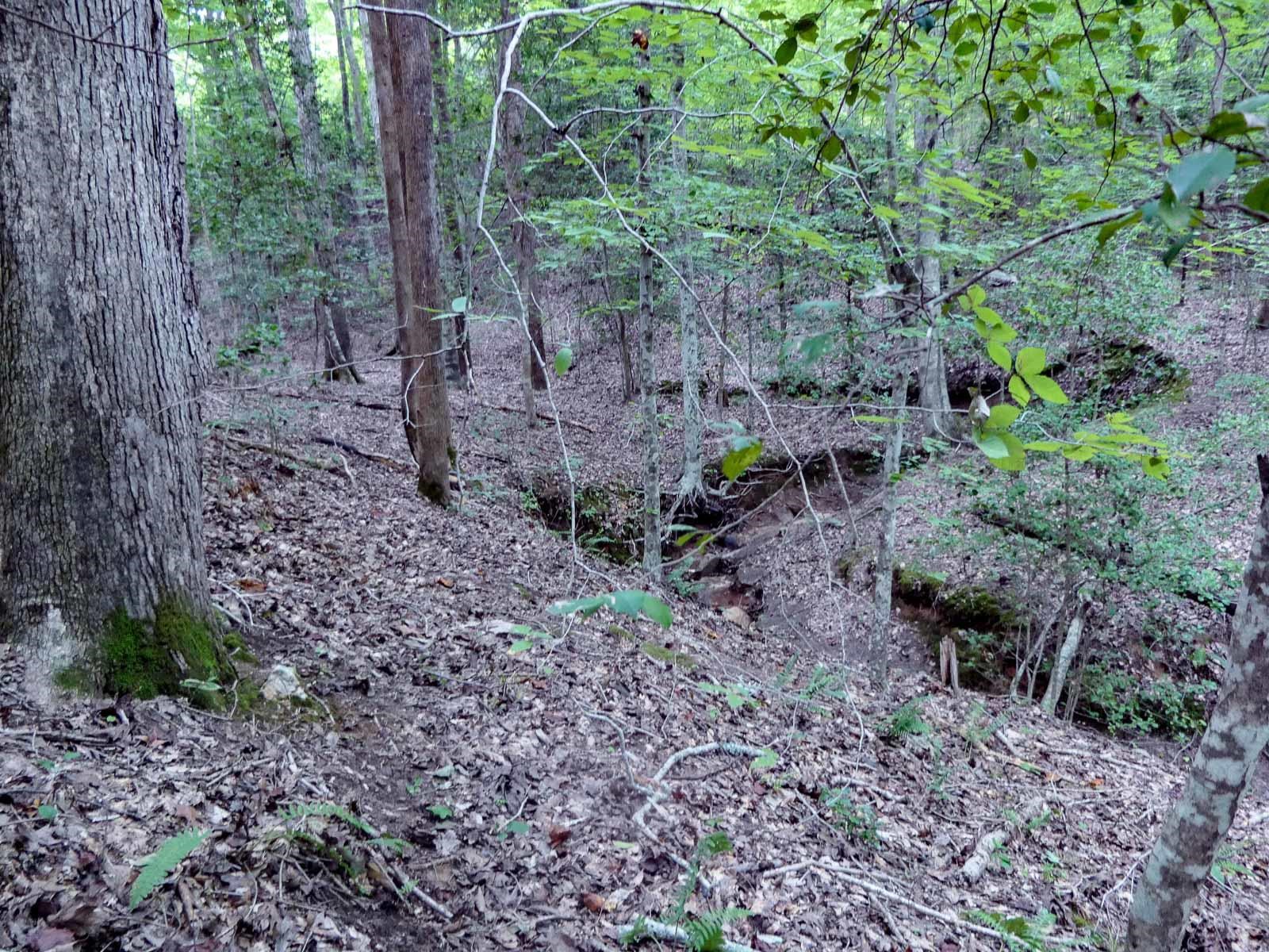 Image 13