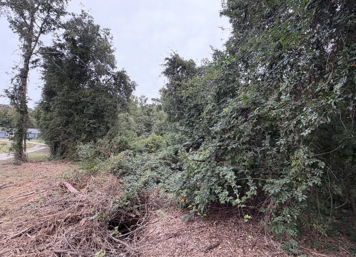 0 E Georgia Road