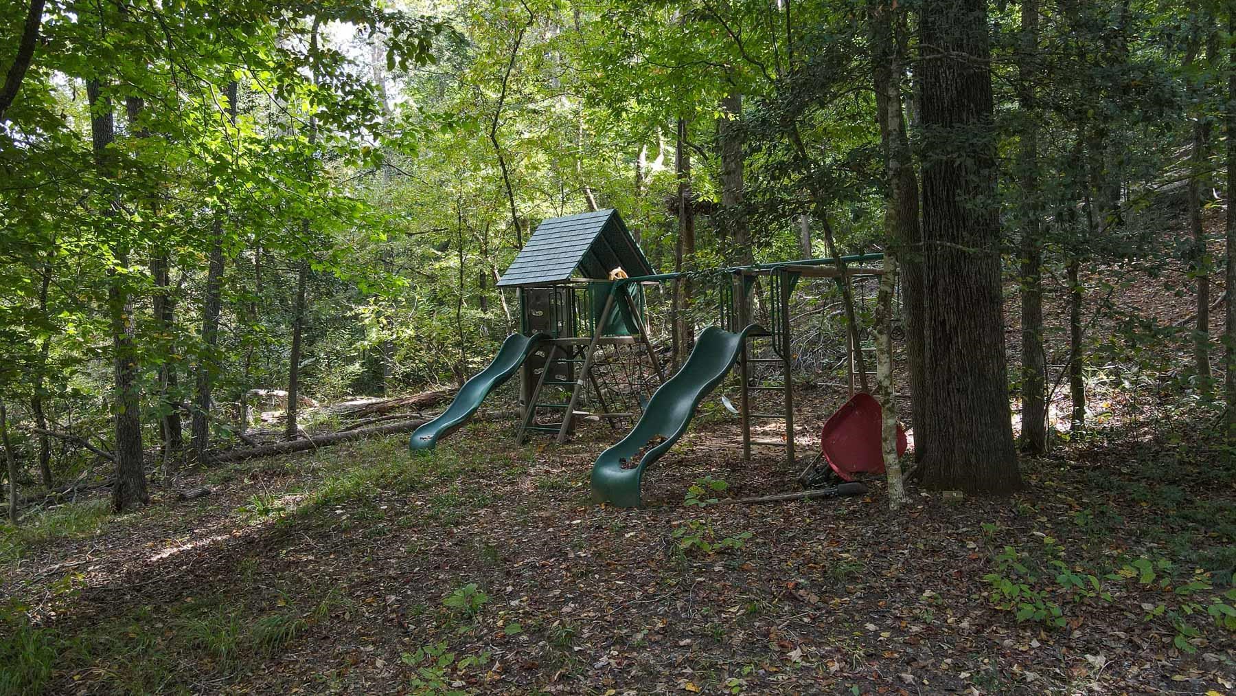 Image 11