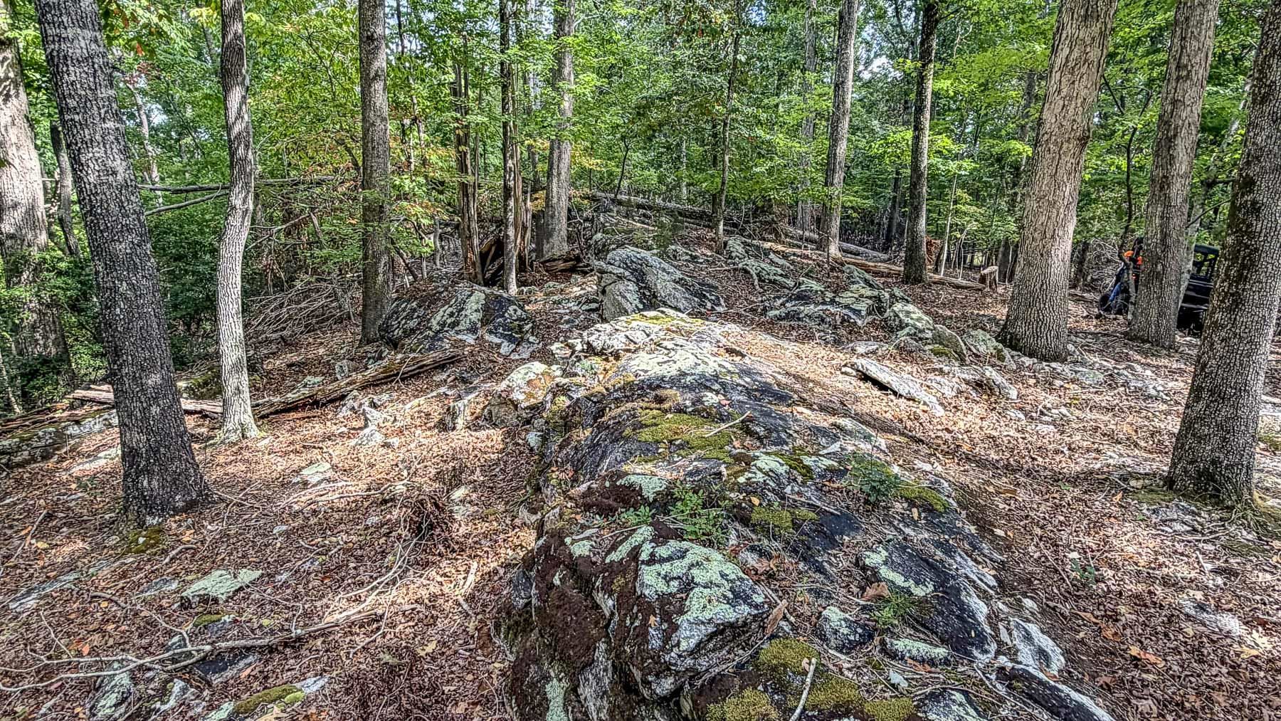 Image 25