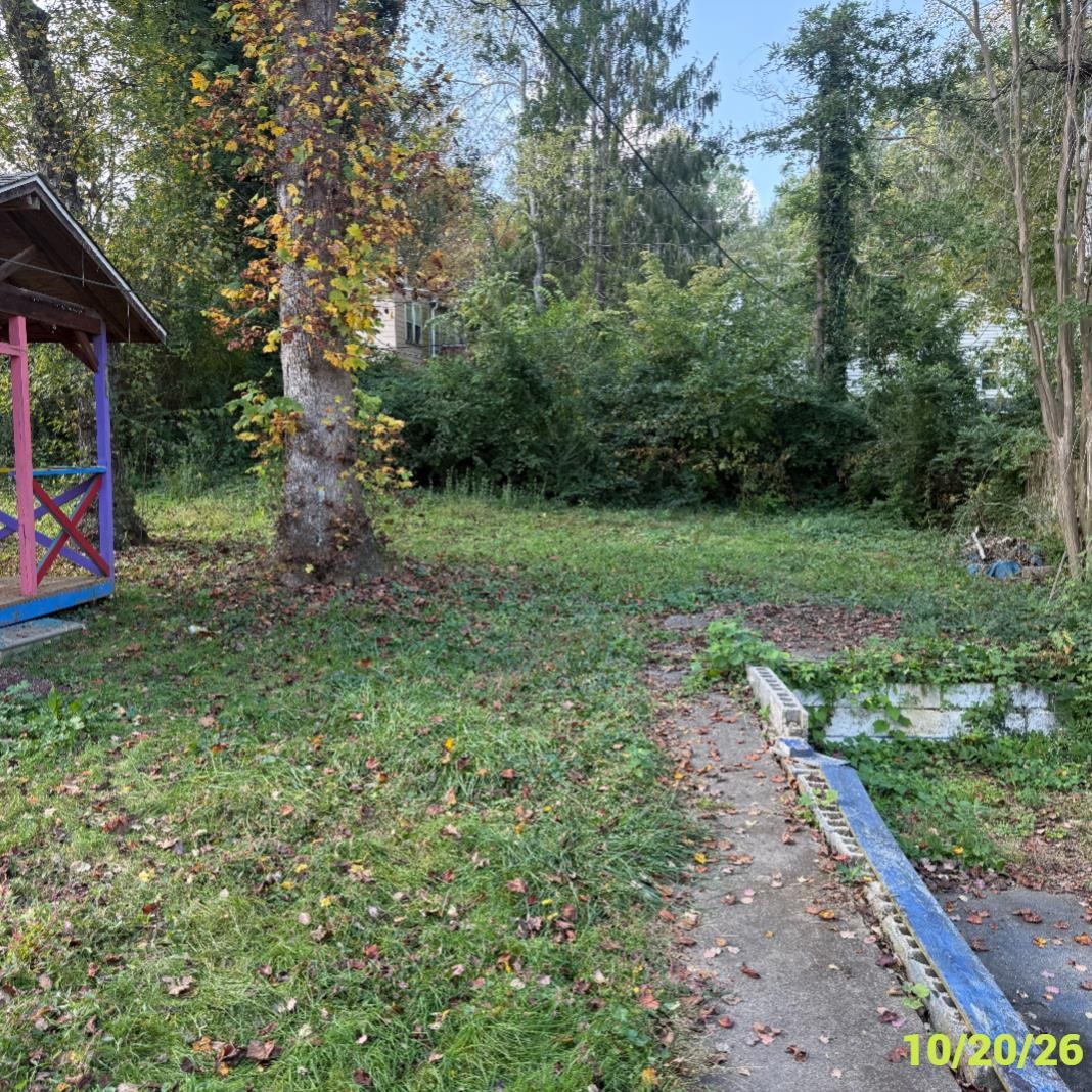 Image 12
