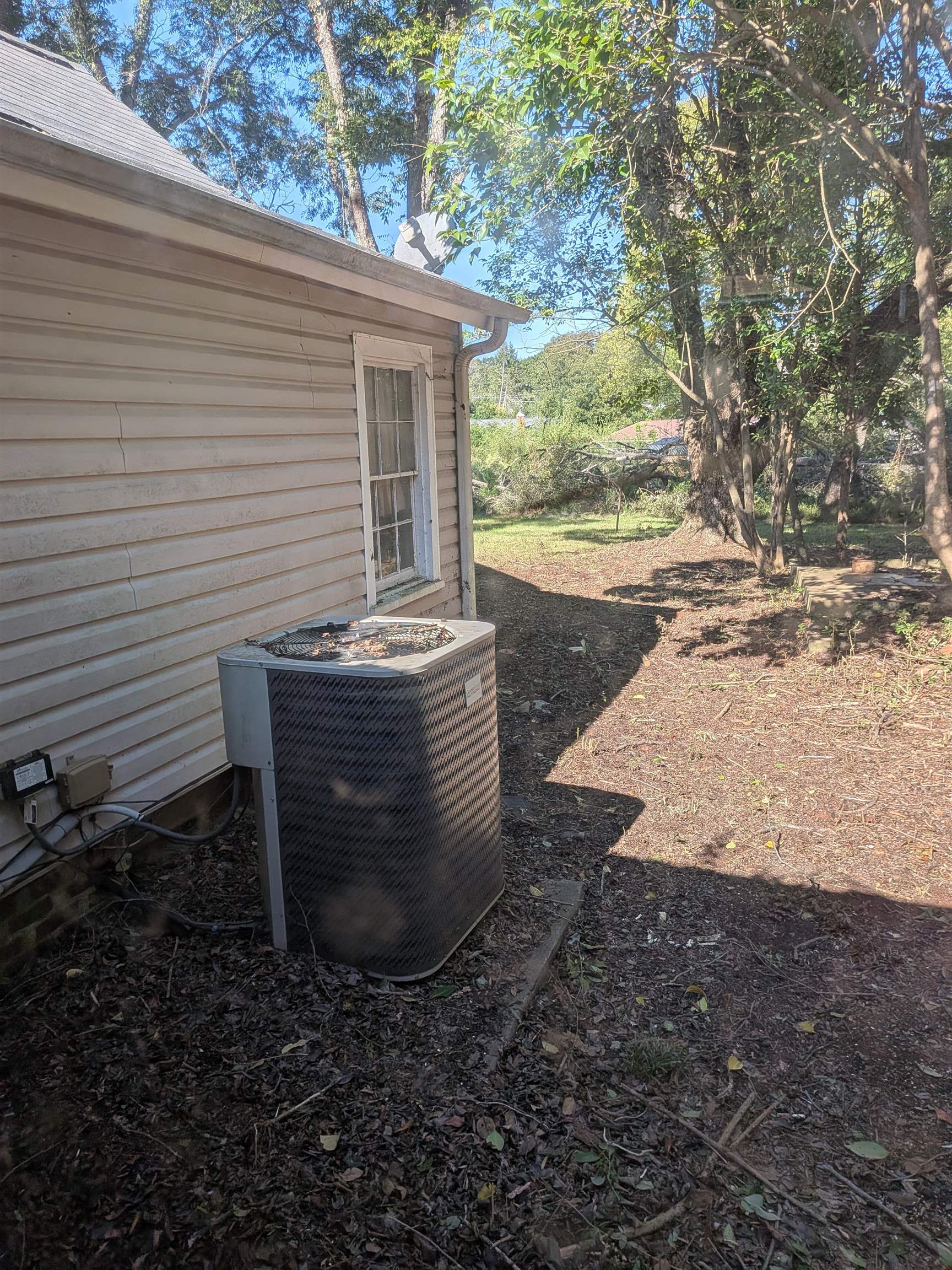Image 14