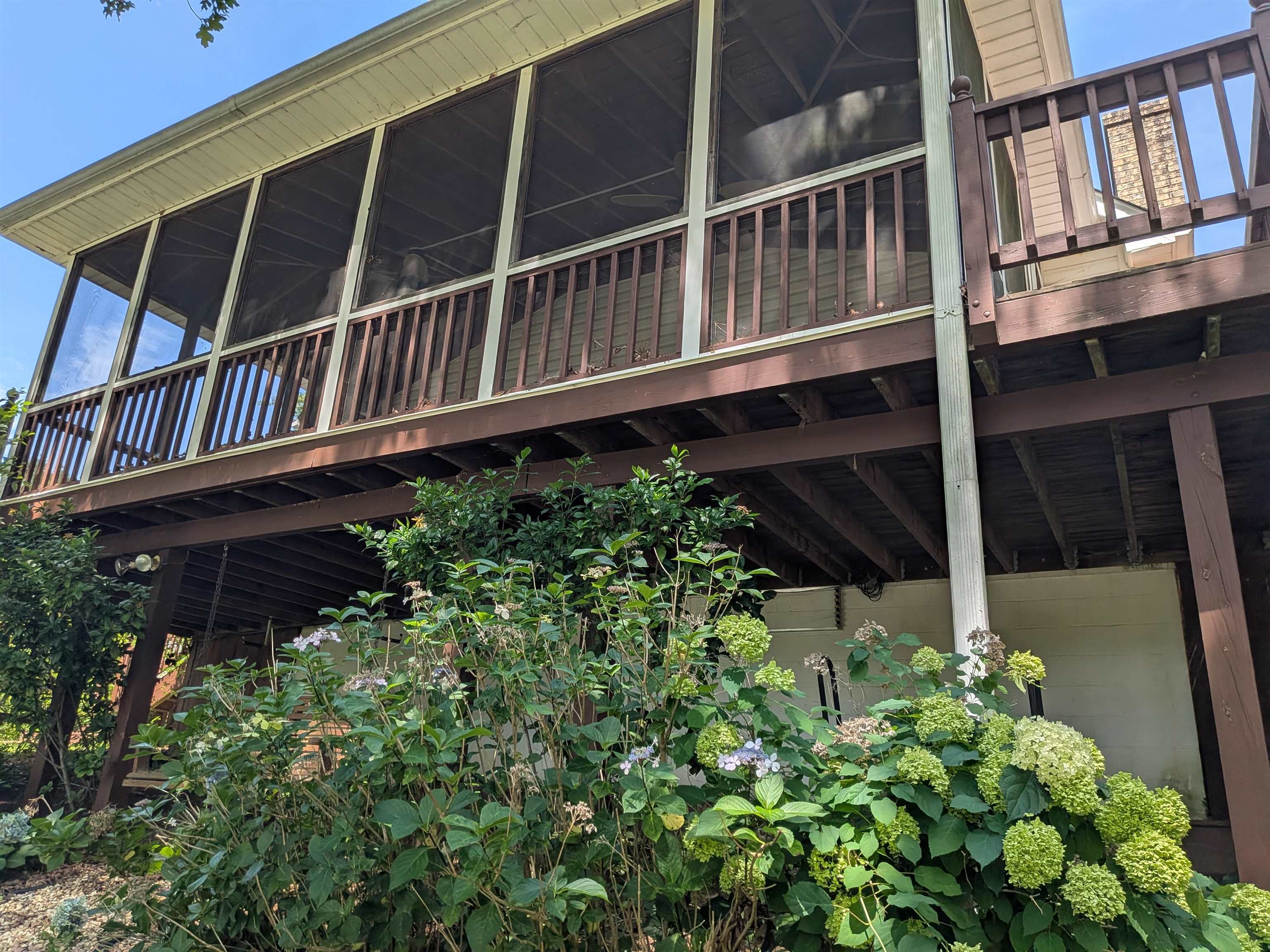 Image 14